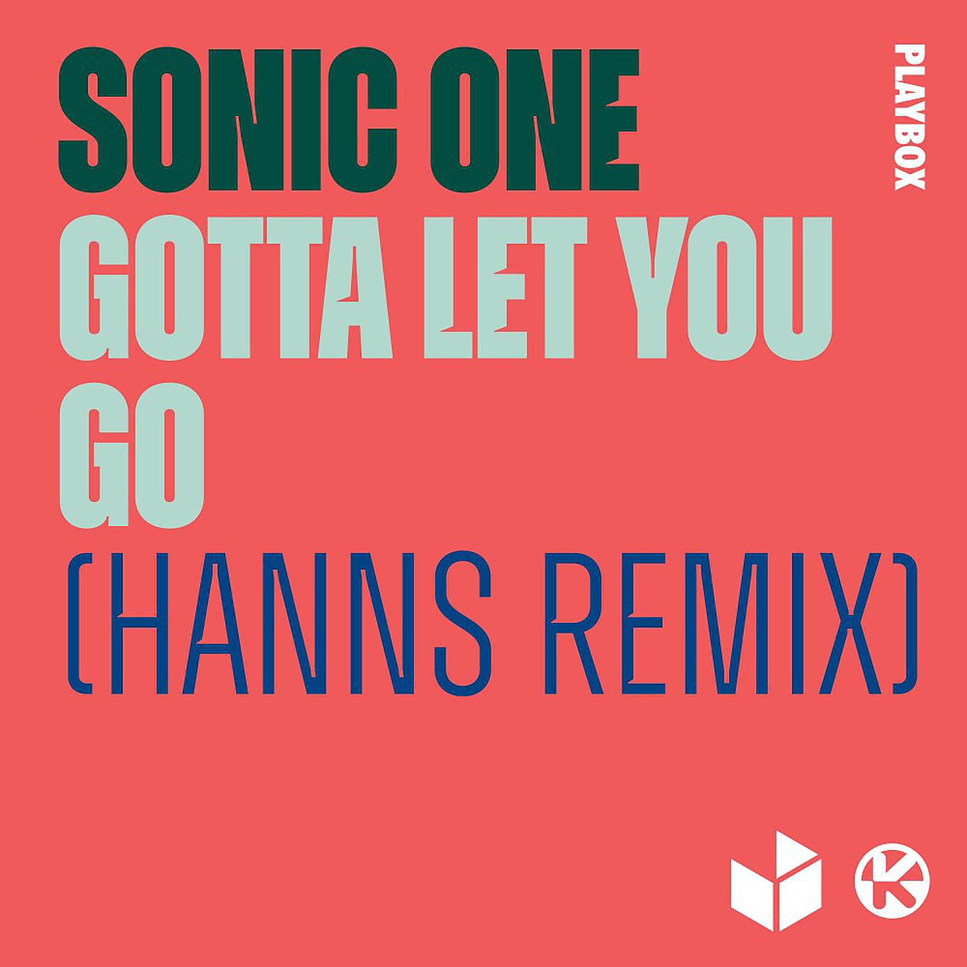Постер альбома Gotta Let You Go (HANNS Remix)