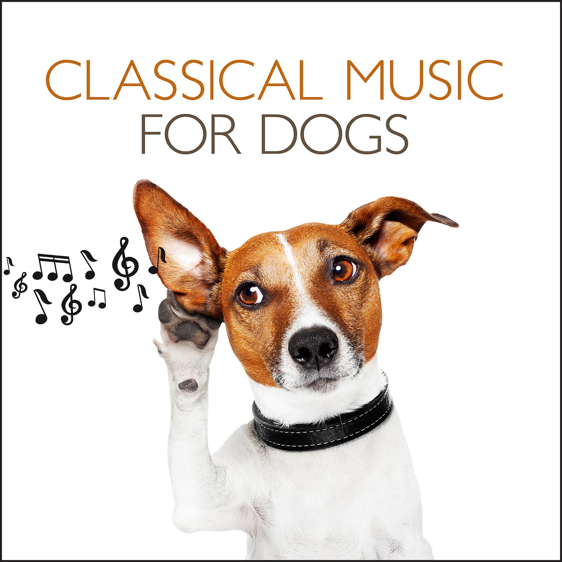 Постер альбома Classical Music For Dogs