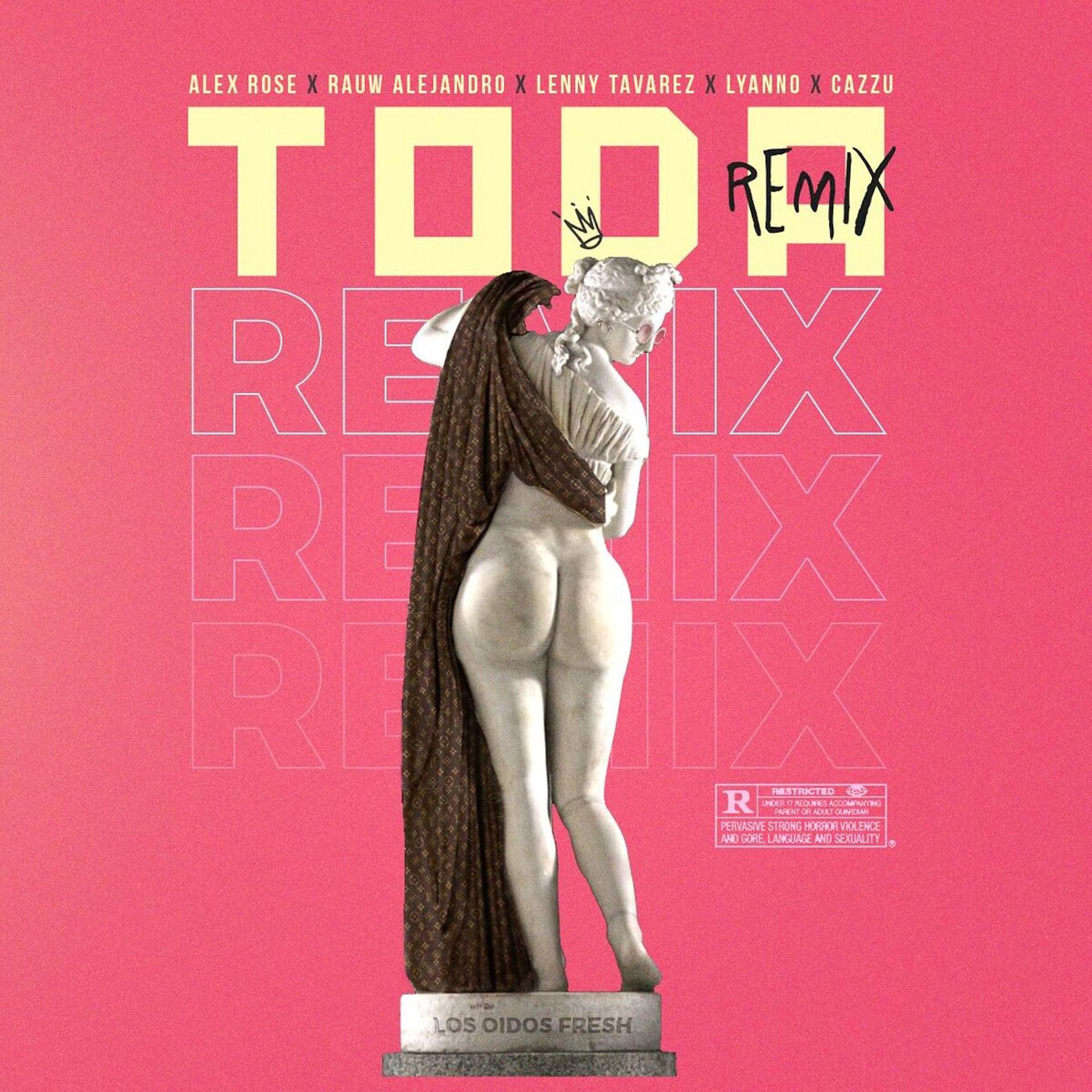 Постер альбома Toda (Remix)