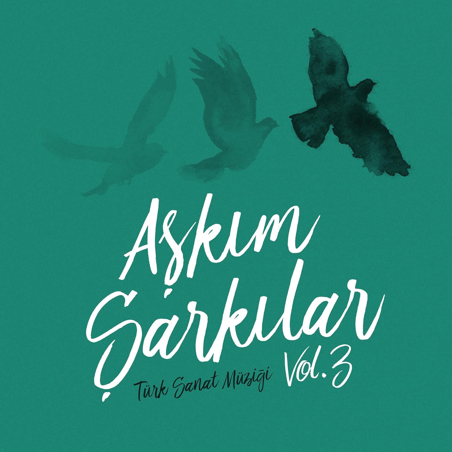 Постер альбома Aşkım Şarkılar, Vol.3