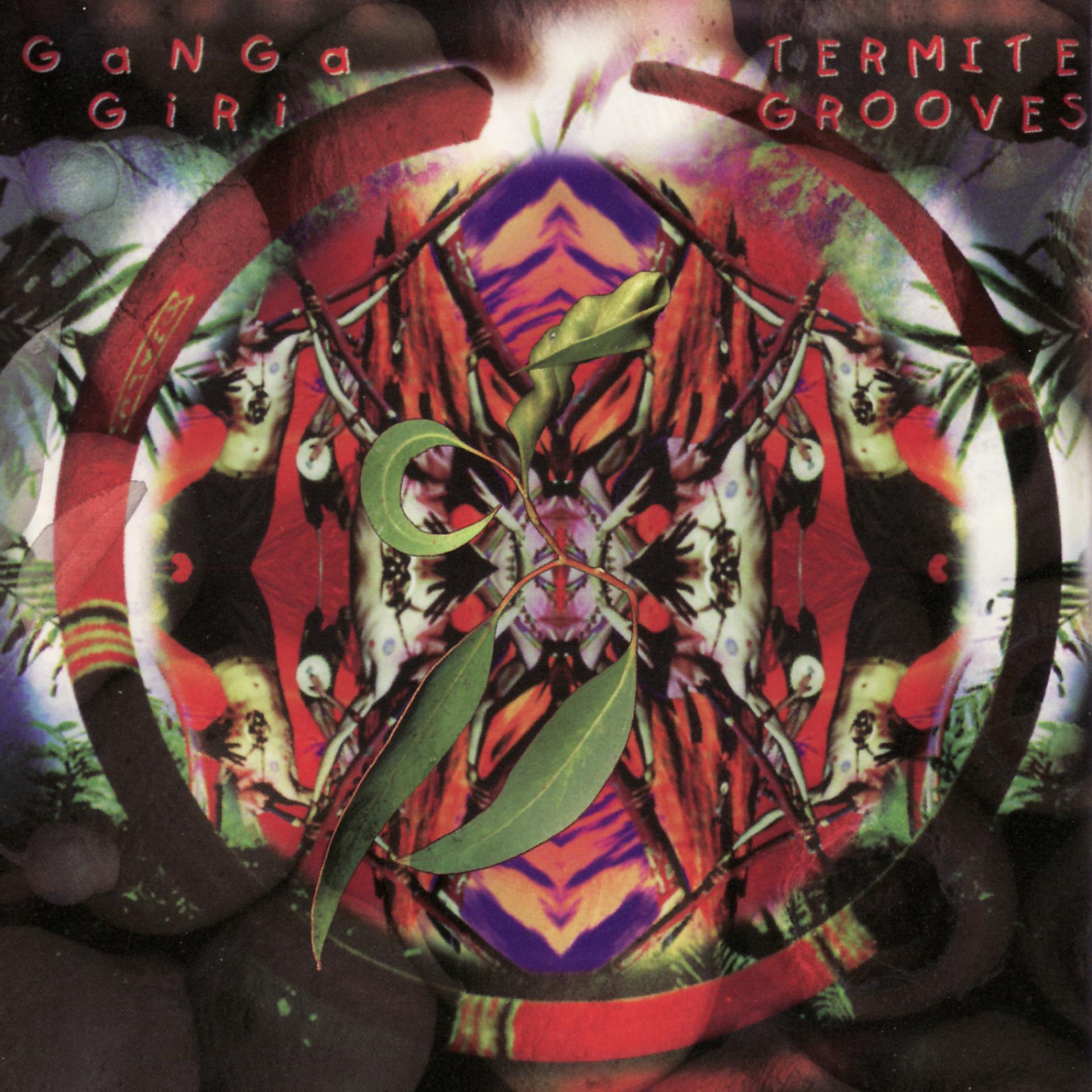Постер альбома Termite Grooves