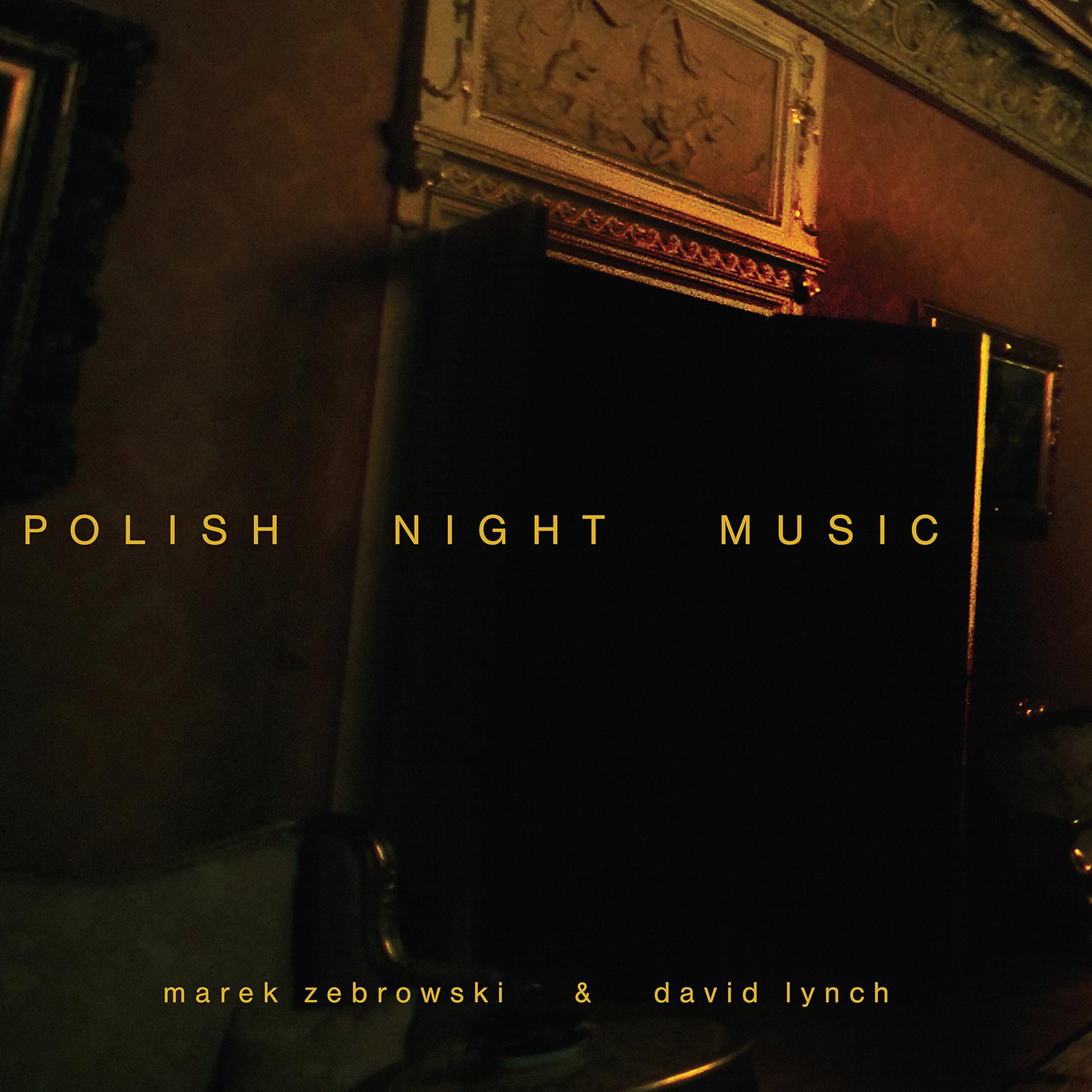 Постер альбома Polish Night Music