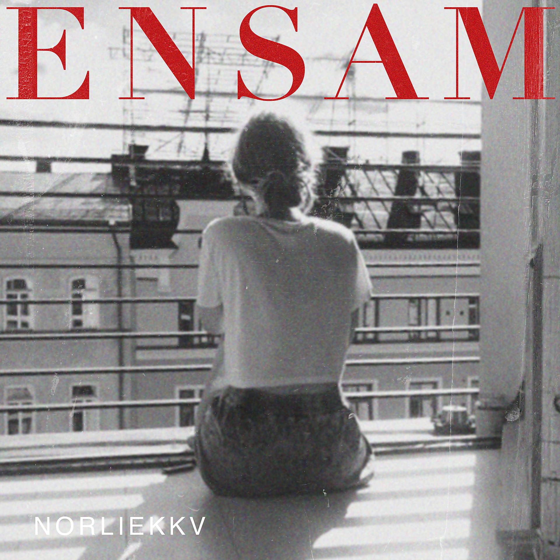 Постер альбома Ensam