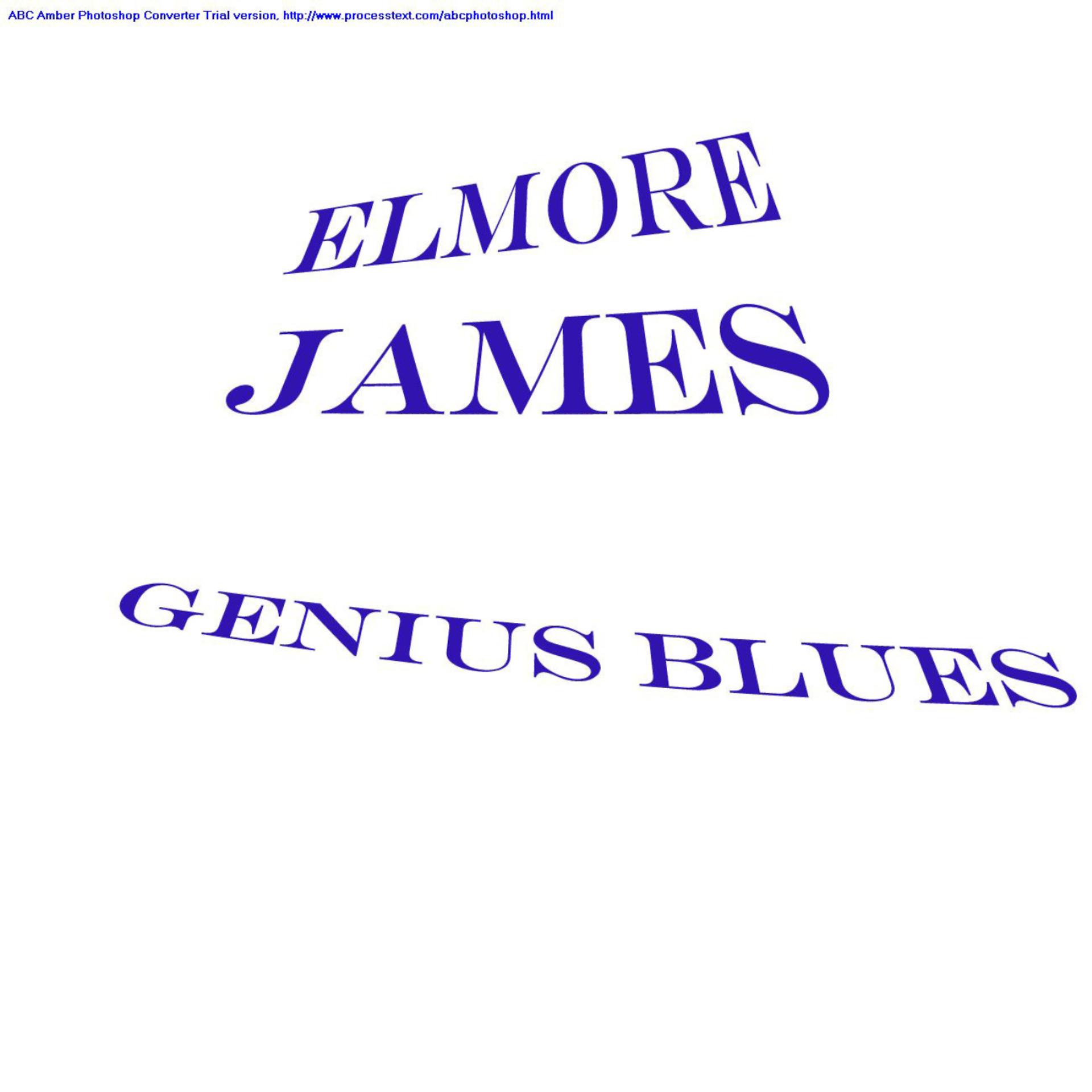 Постер альбома Genius Blues