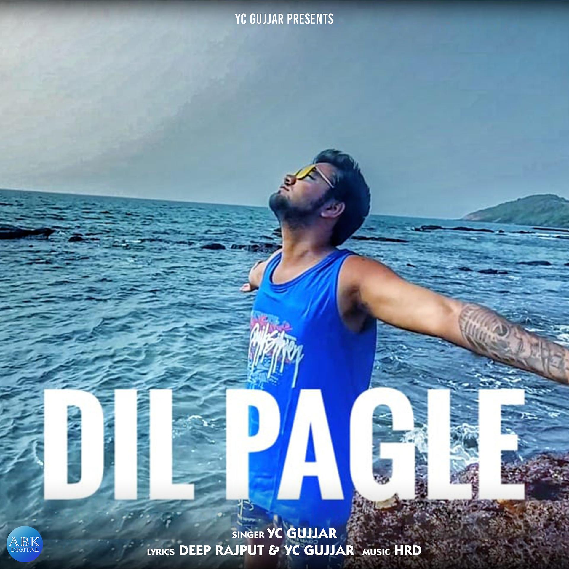 Постер альбома Dil Pagle - Single