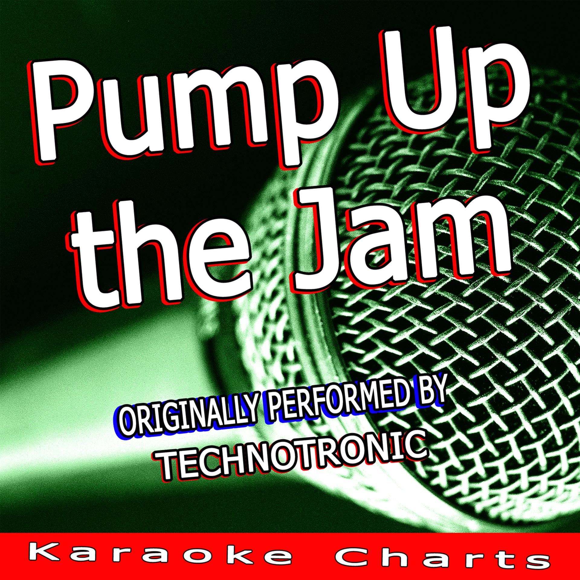 Постер альбома Pump Up the Jam (Originally Performed By Technotronic)