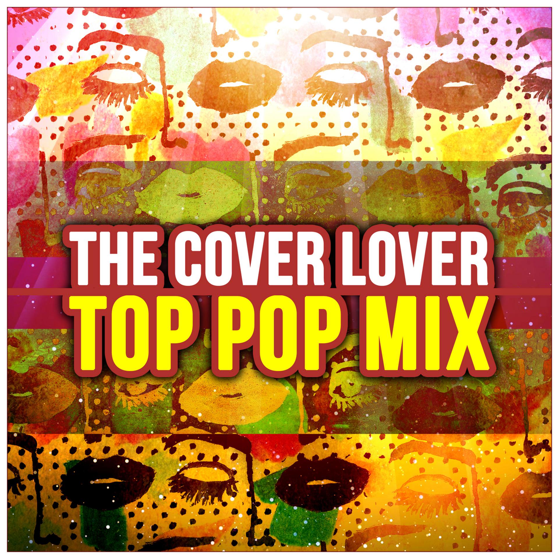 Постер альбома Top Pop Mix