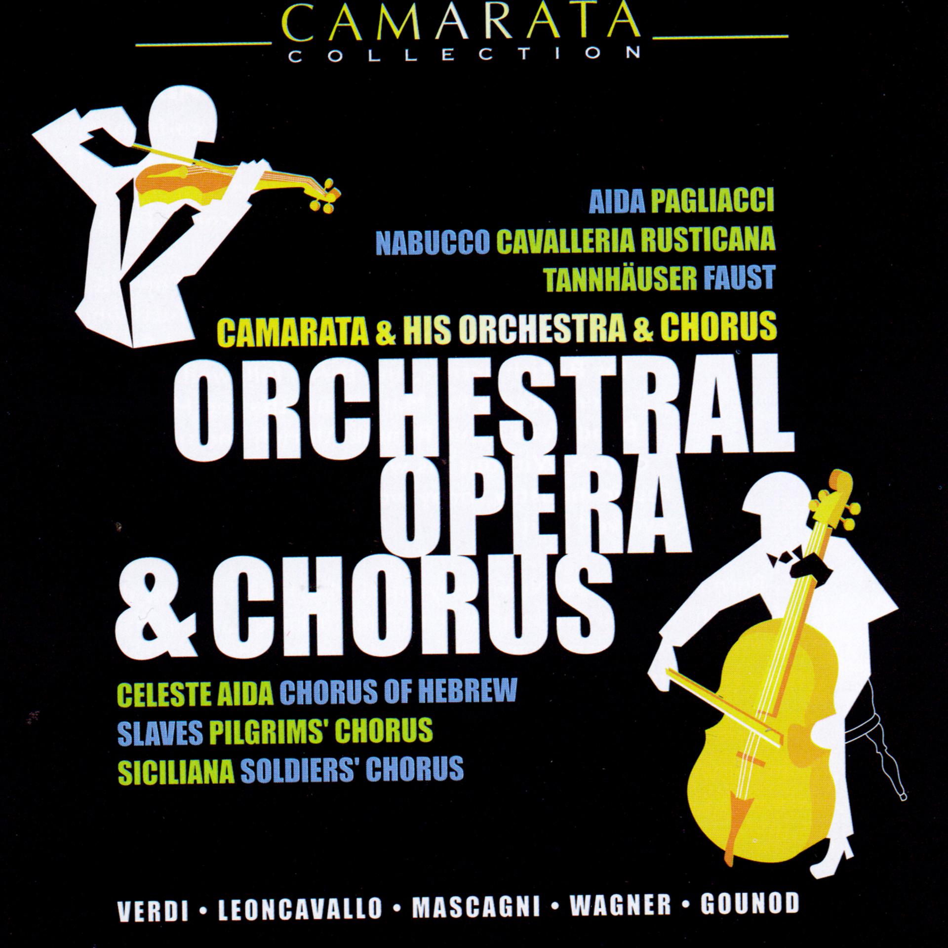 Постер альбома Orchestral Opera & Chorus