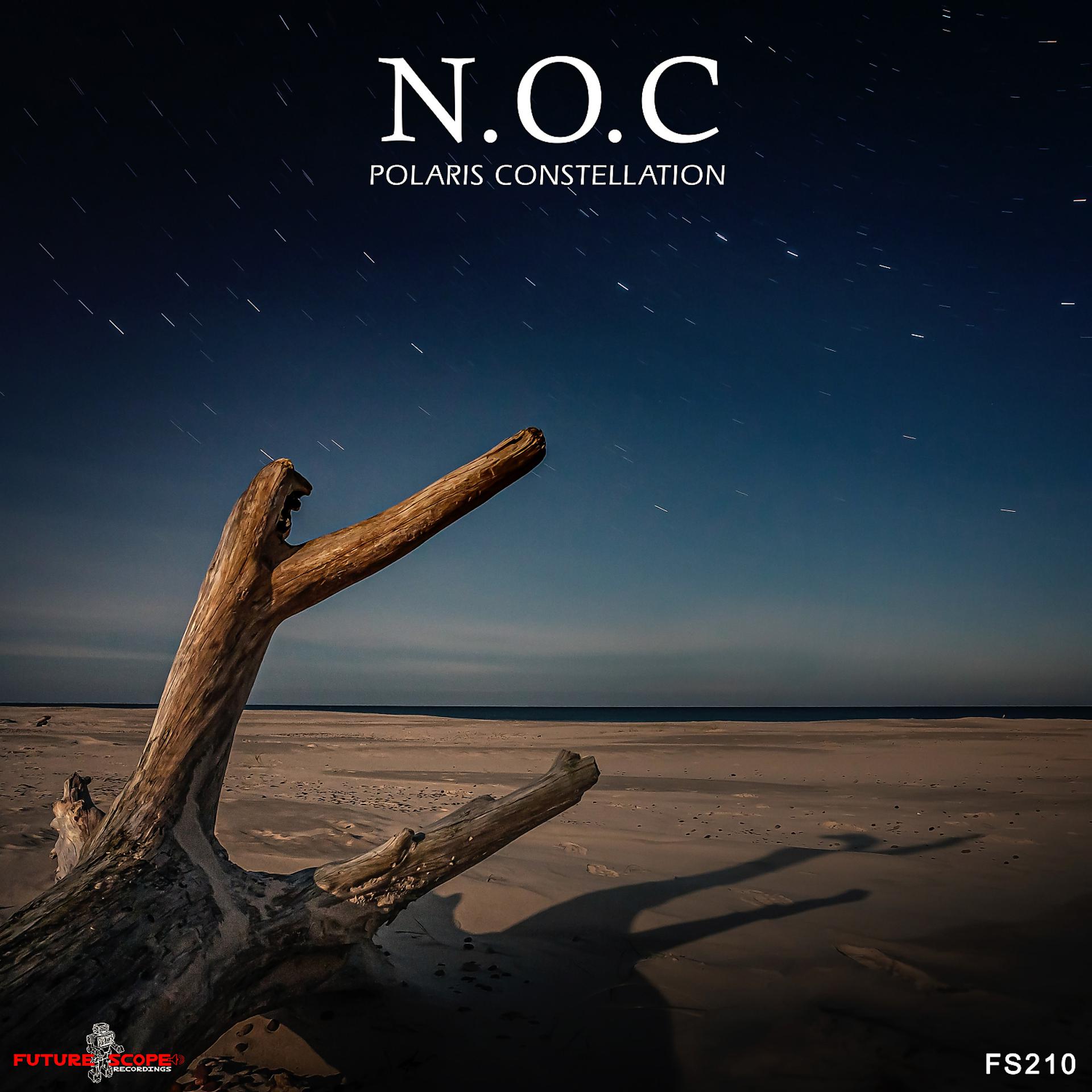 Постер альбома Polaris Constellation