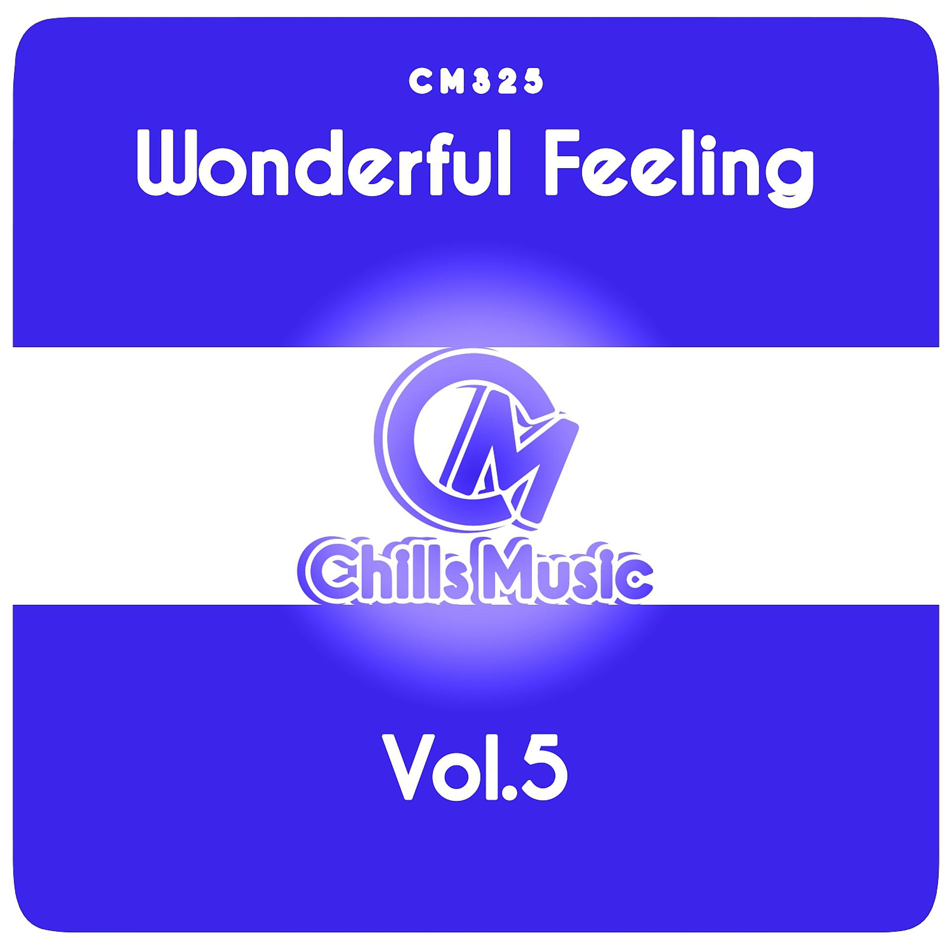 Постер альбома Wonderful Feeling, Vol.5