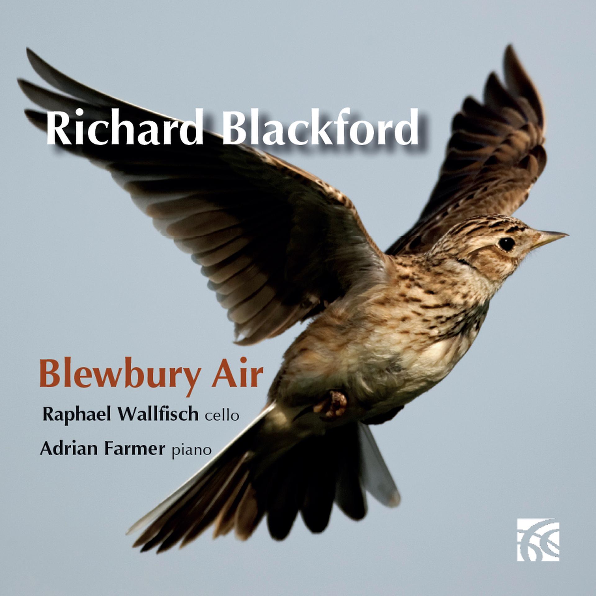 Постер альбома Blackford: Blewbury Air