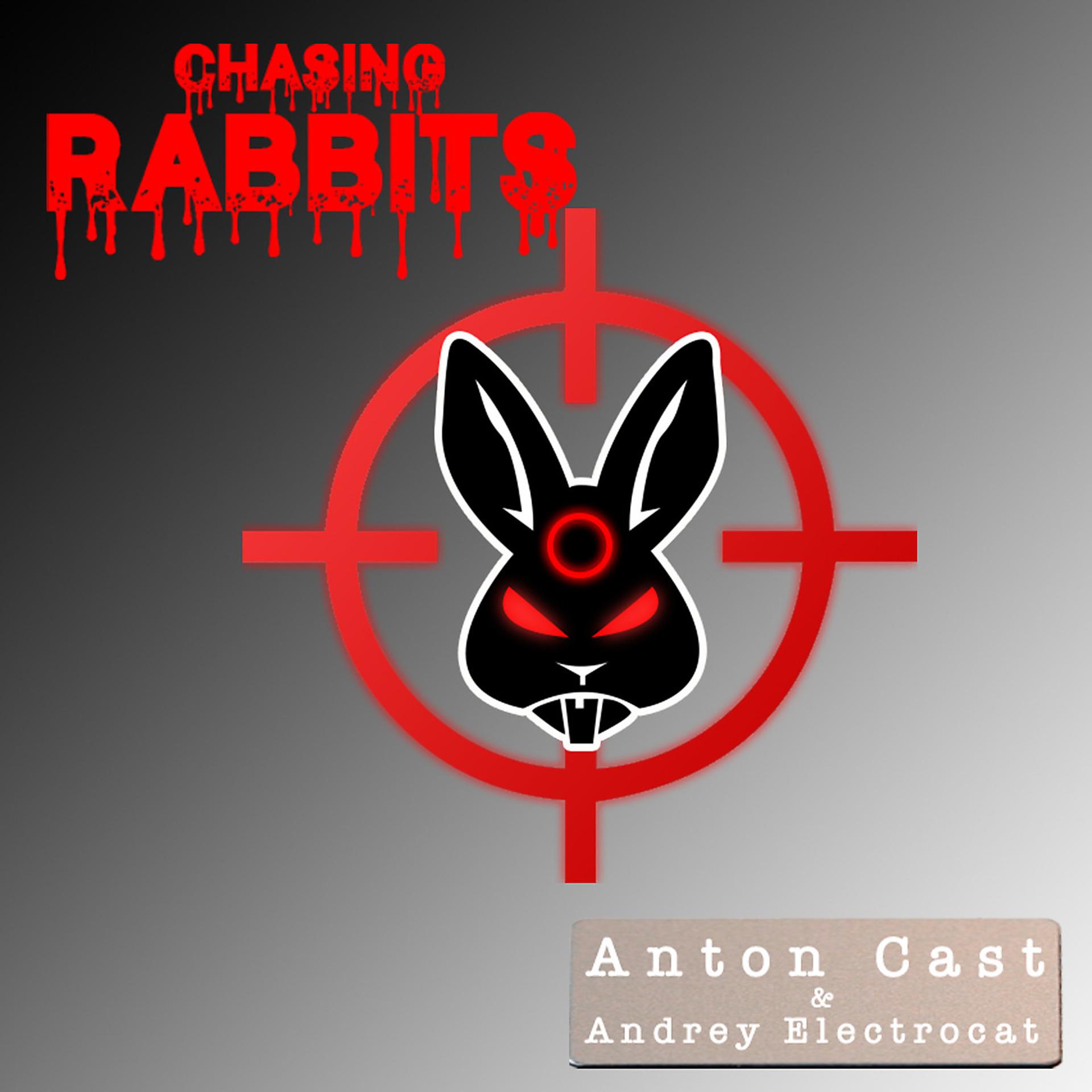 Постер альбома Chasing Rabbits