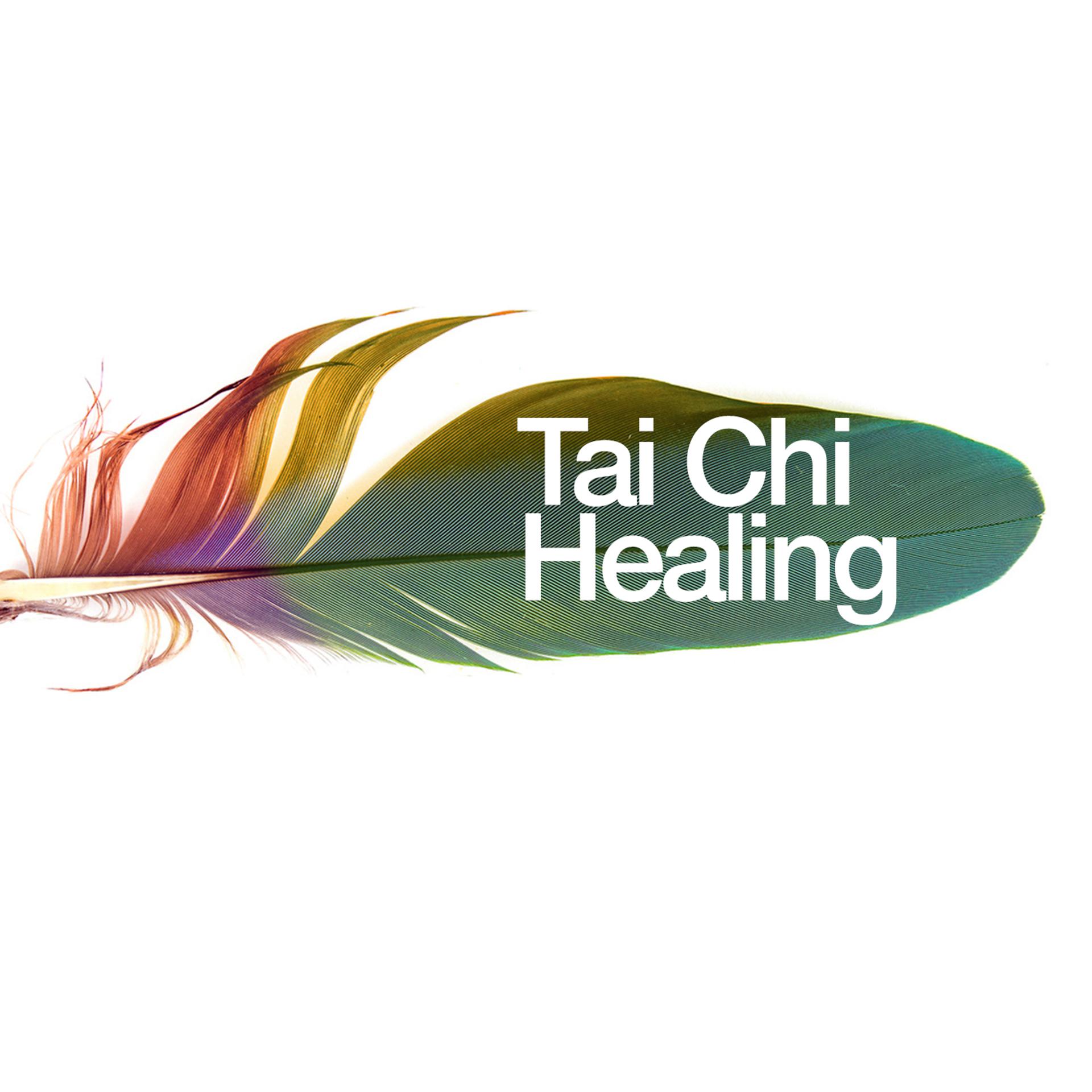 Постер альбома Tai Chi Healing