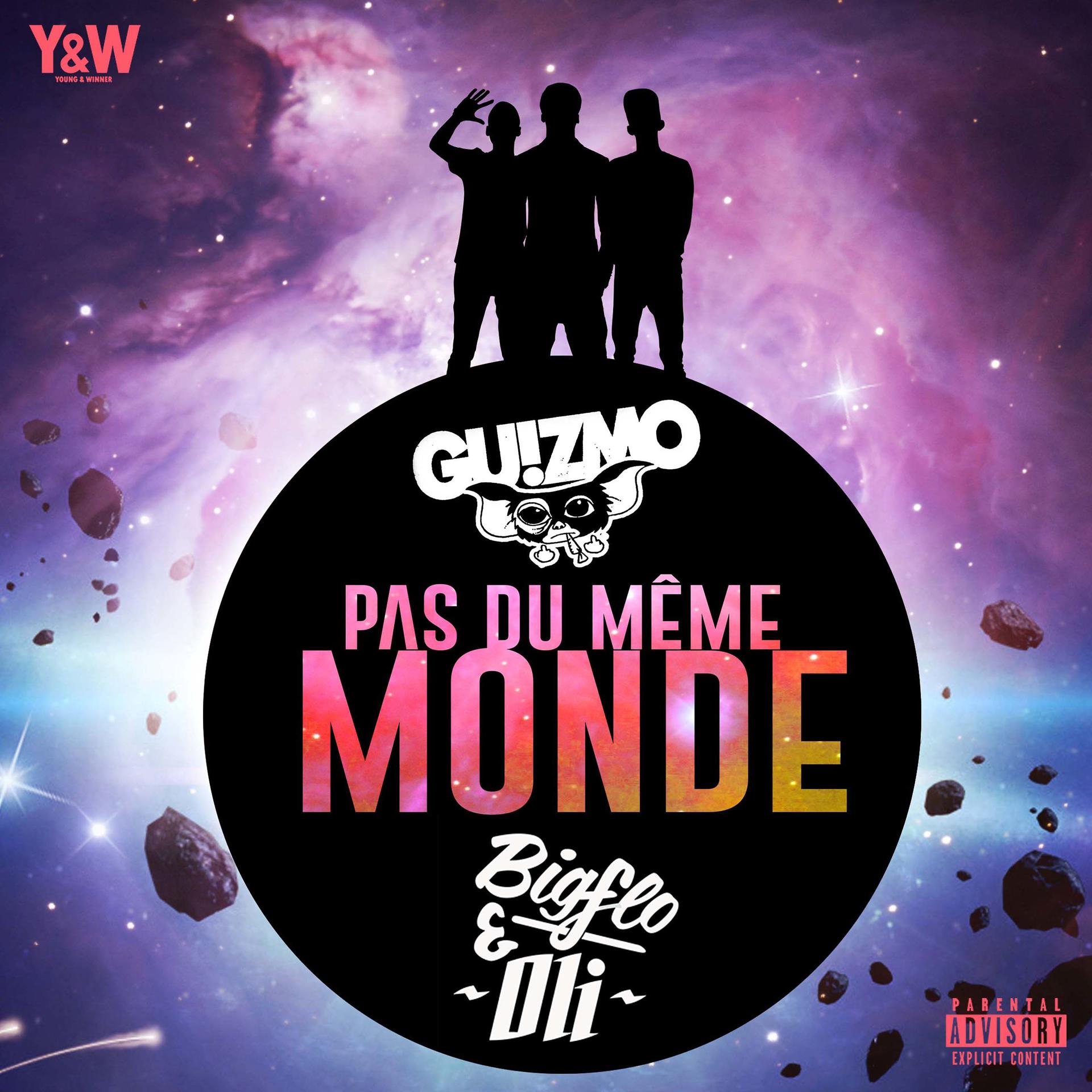 Постер альбома Pas du même monde (feat. Bigflo & Oli)