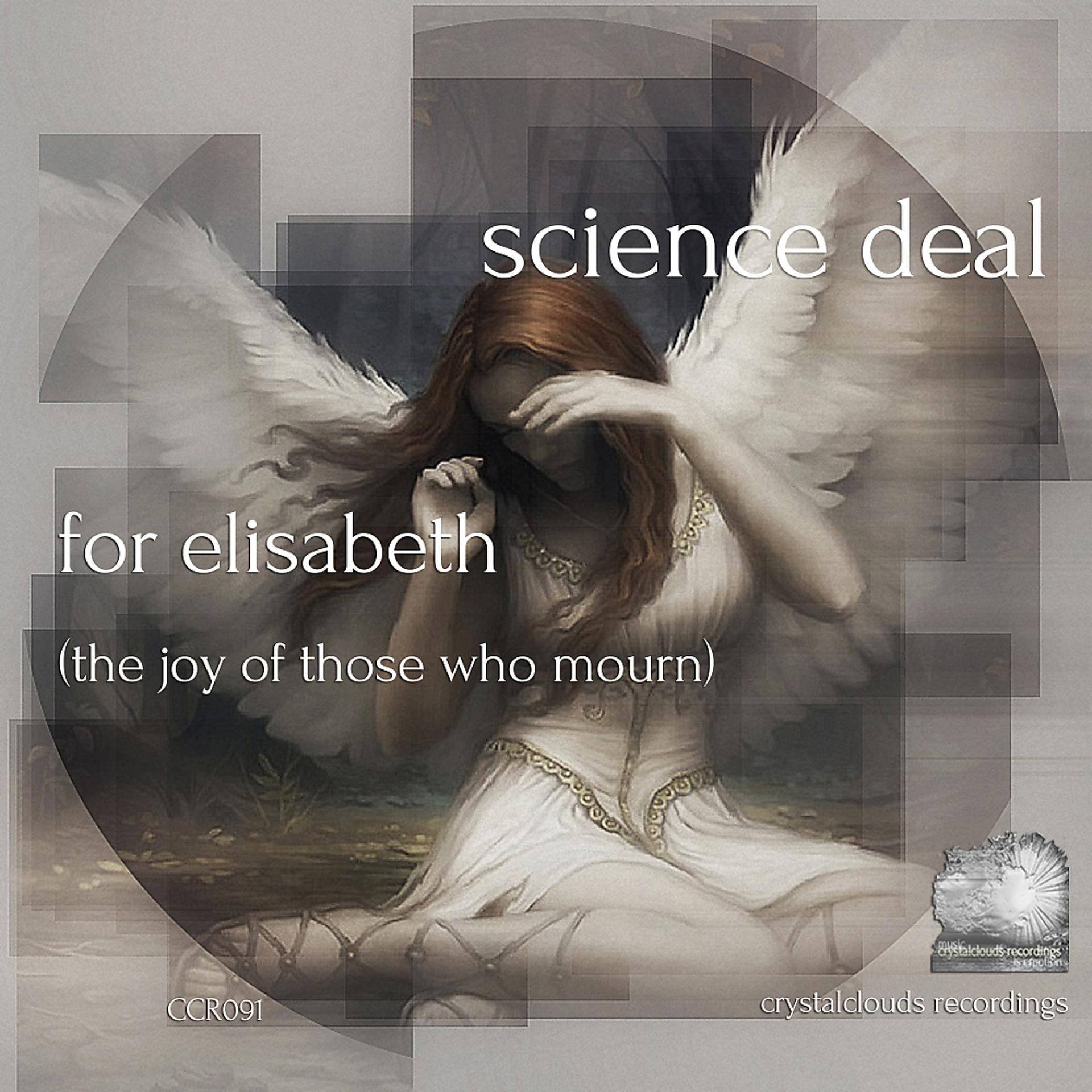 Постер альбома For Elisabeth (The Joy Of Those Who Mourn)