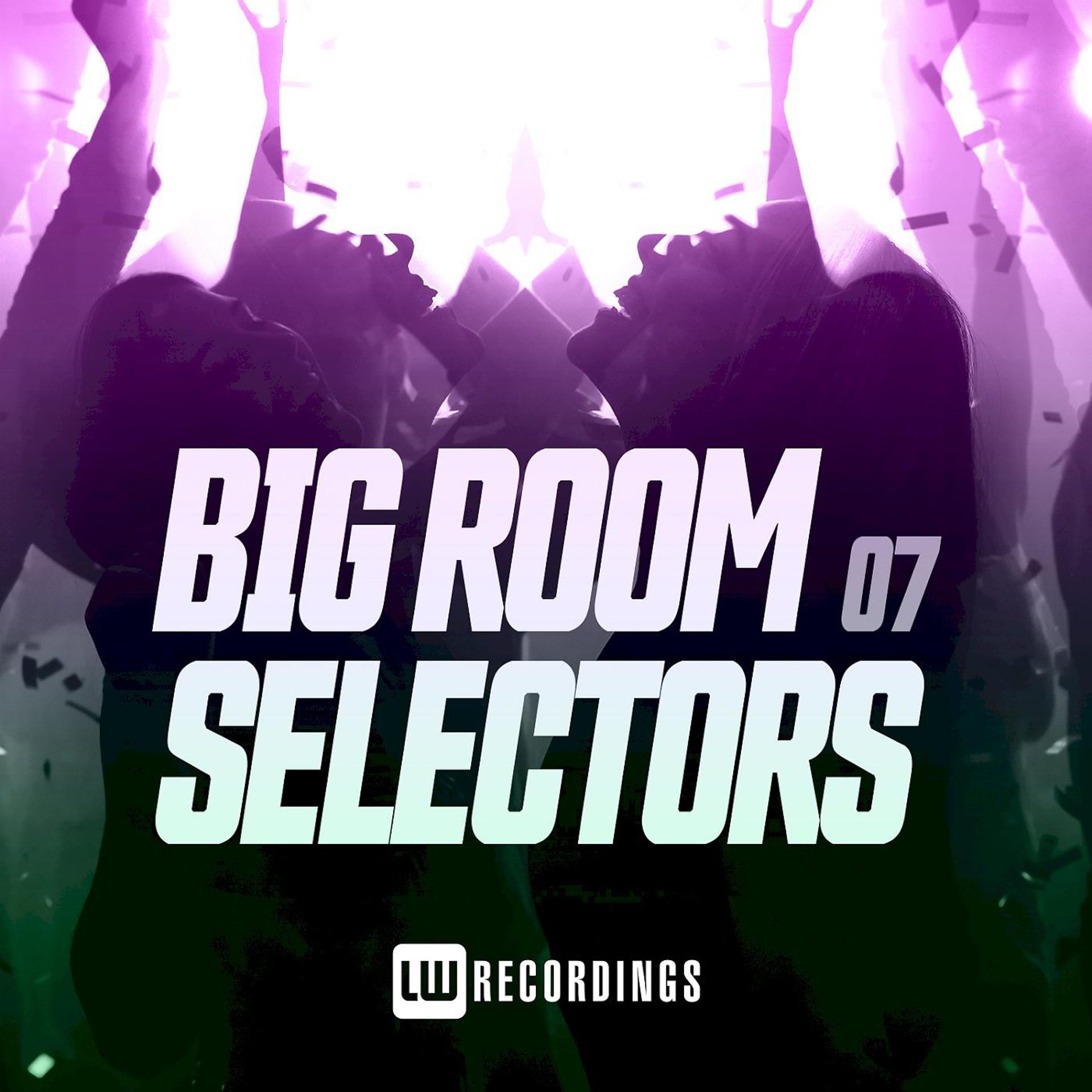 Постер альбома Big Room Selectors, 07