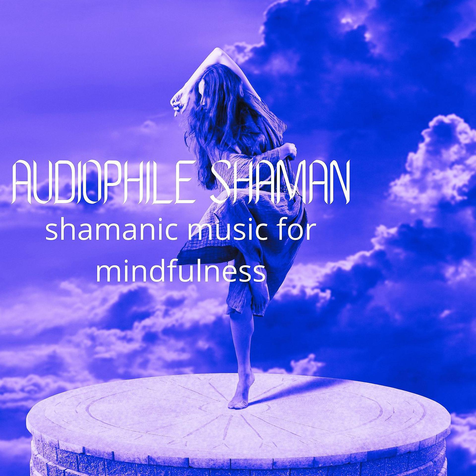 Постер альбома Shamanic Music for Mindfulness
