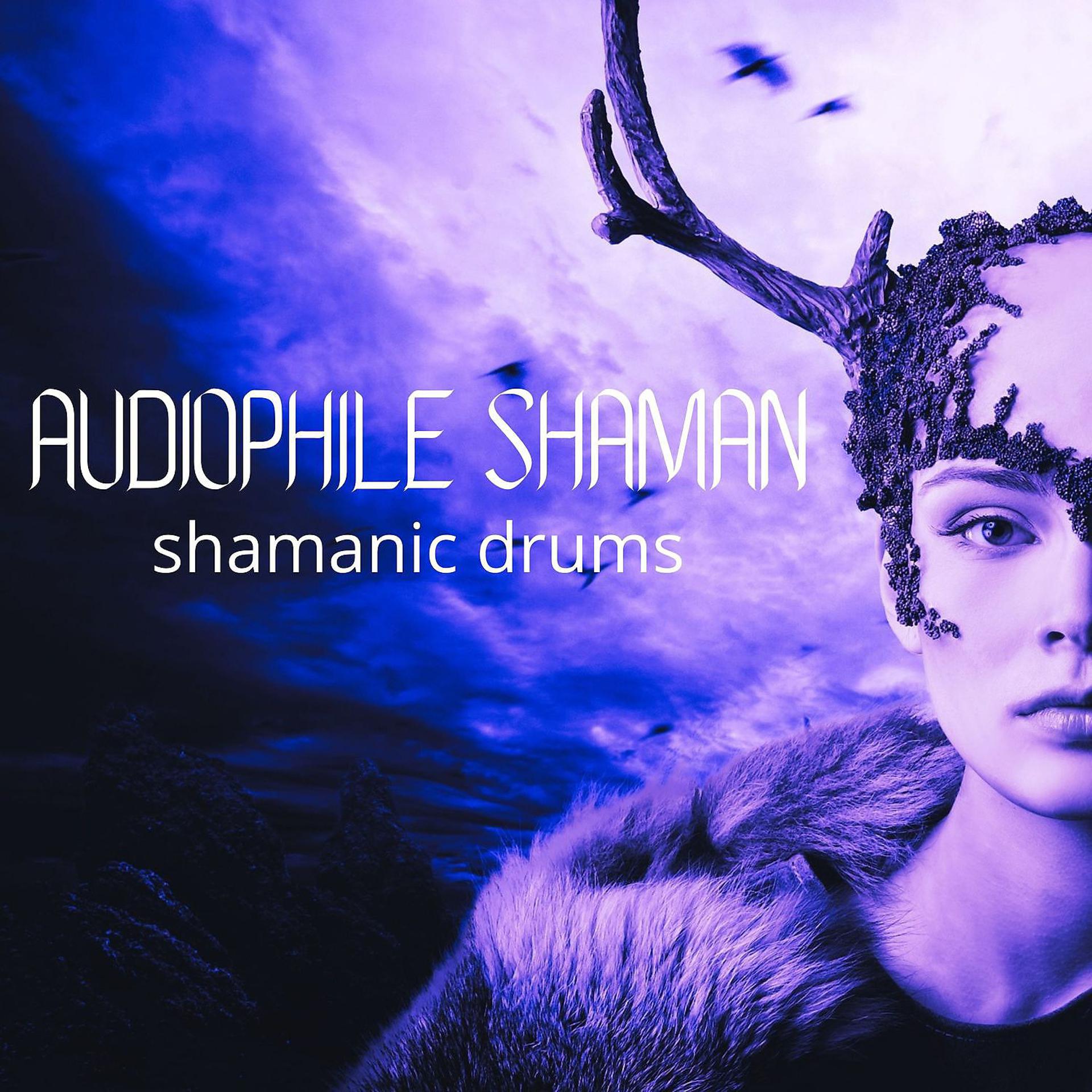 Постер альбома Shamanic Drums