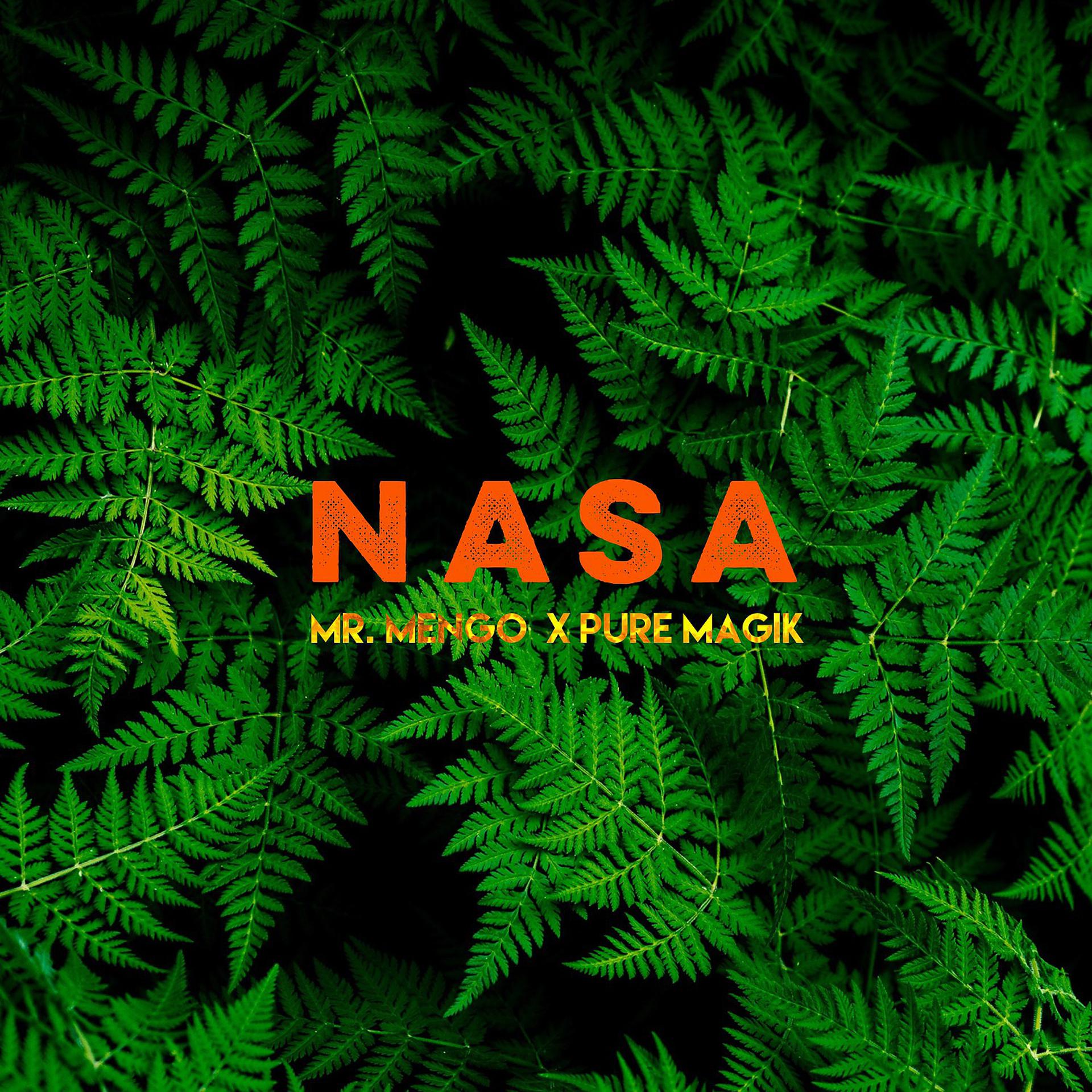 Постер альбома Nasa