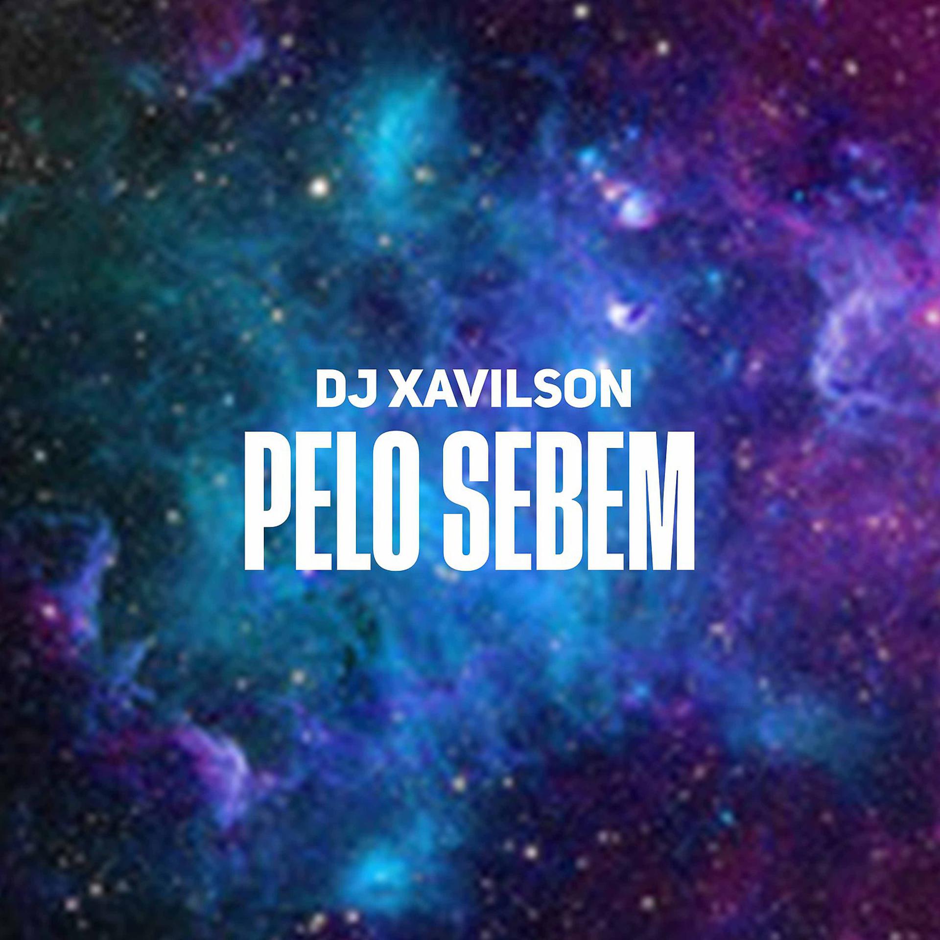 Постер альбома Pelo Sebem