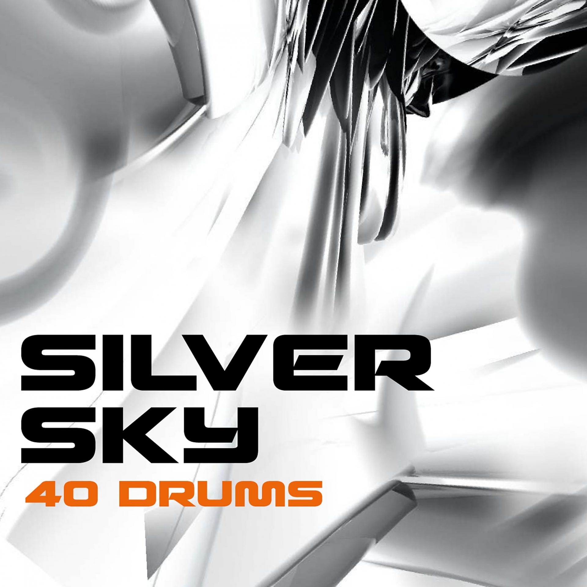 Постер альбома Silver Sky