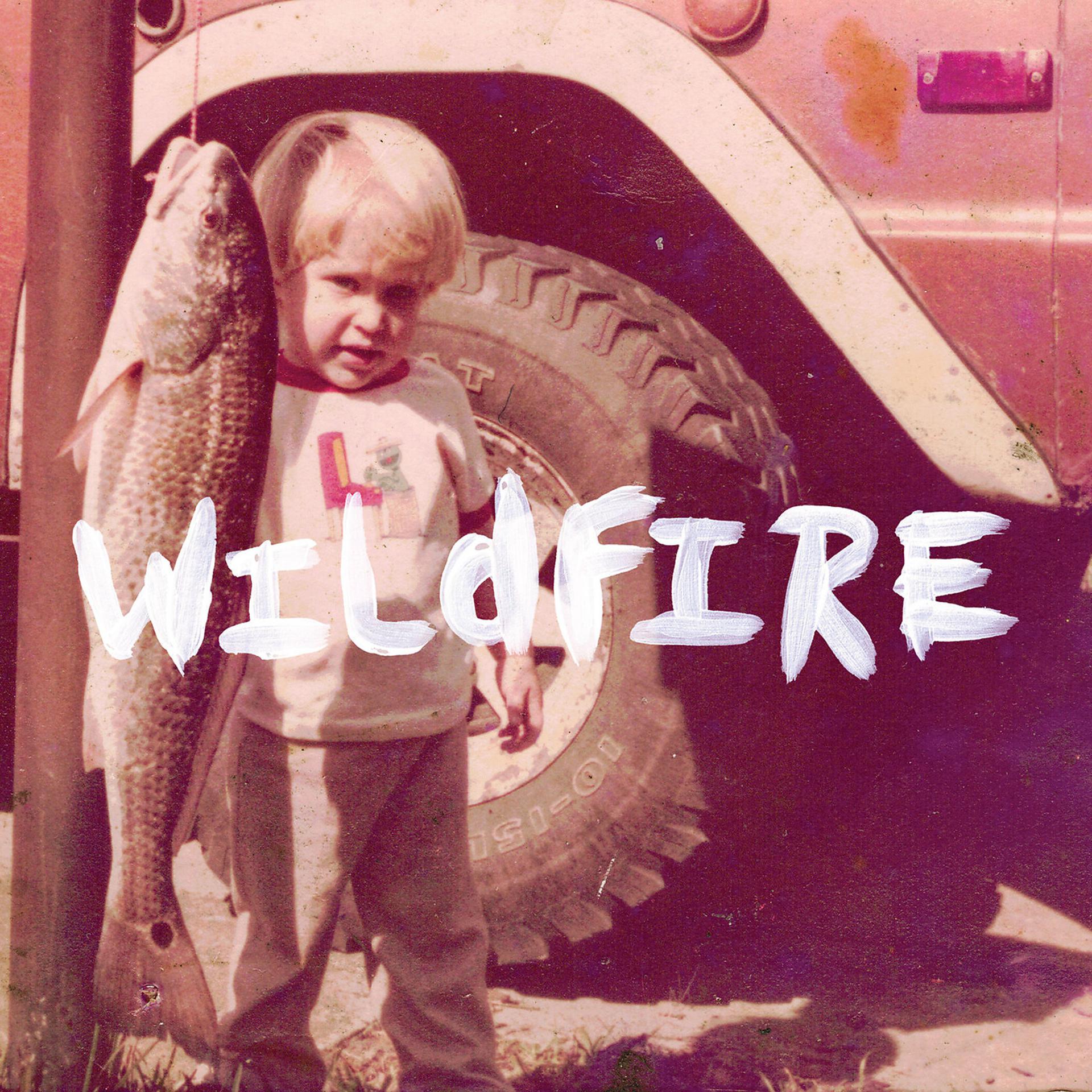 Постер альбома Wildfire