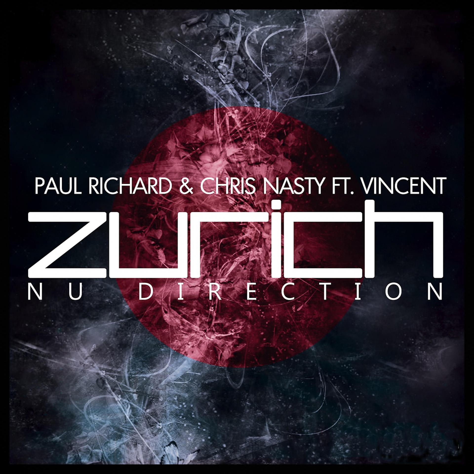Постер альбома Zurich Nu Direction
