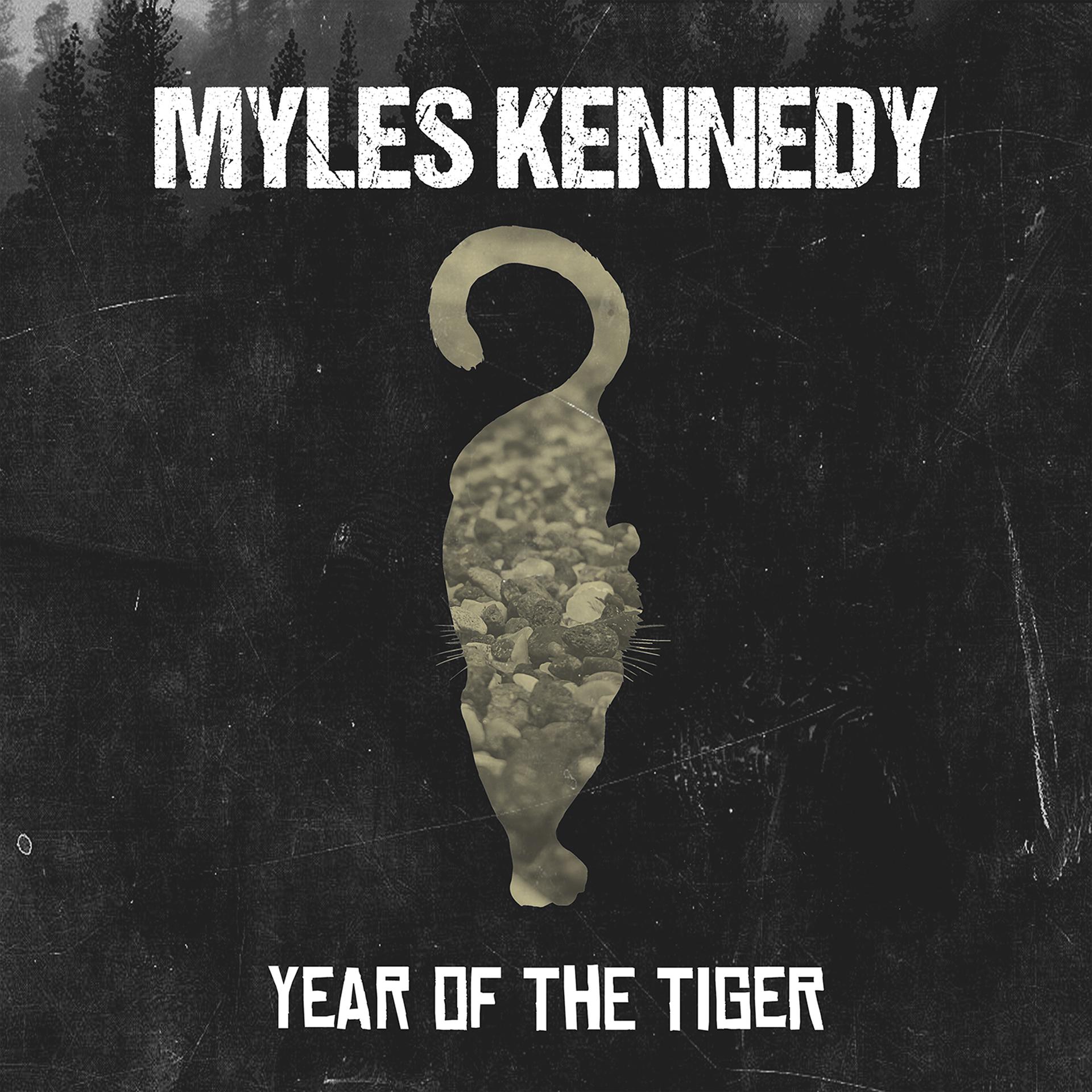 Постер альбома Year of the Tiger