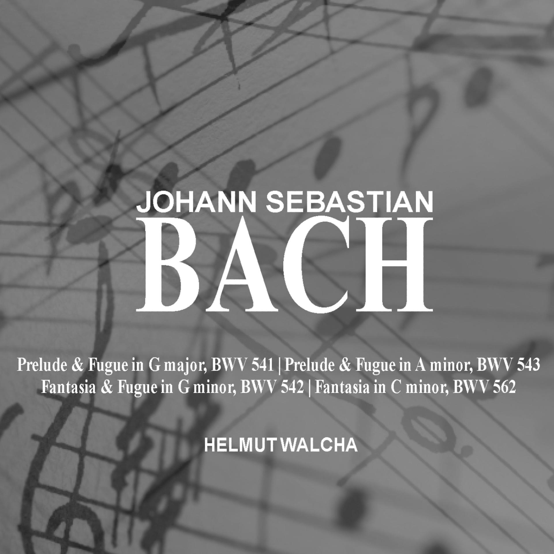 Постер альбома Bach: Prelude and Fugue; Fantasia