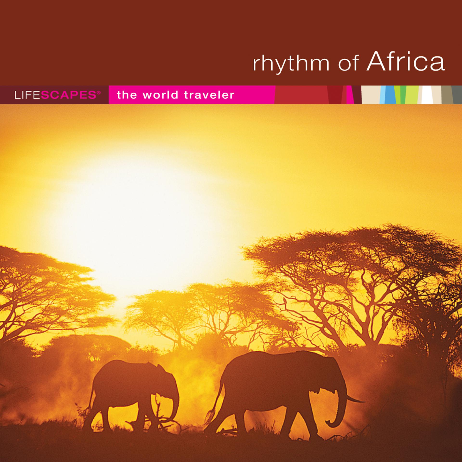 Постер альбома Rhythm of Africa