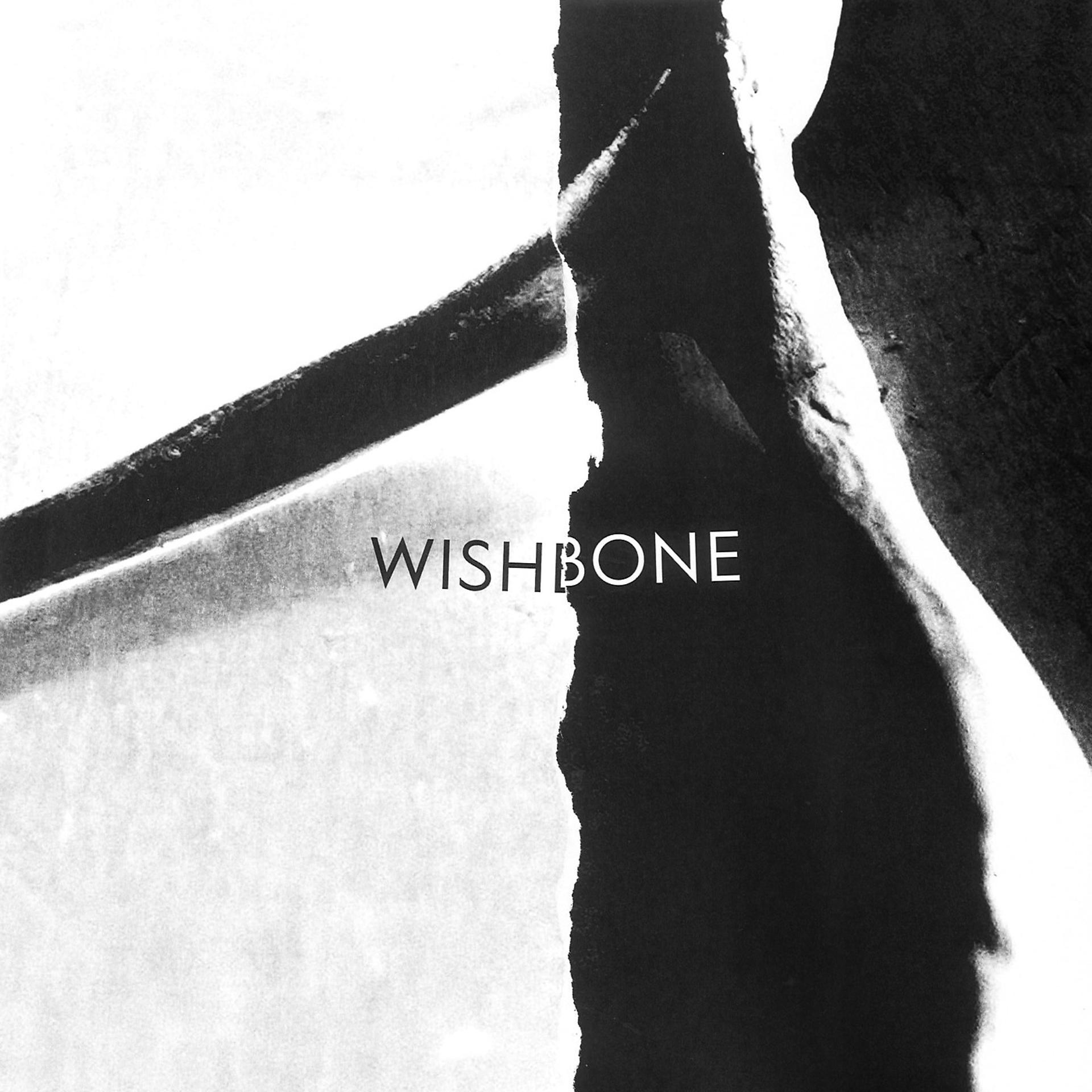 Постер альбома Wishbone