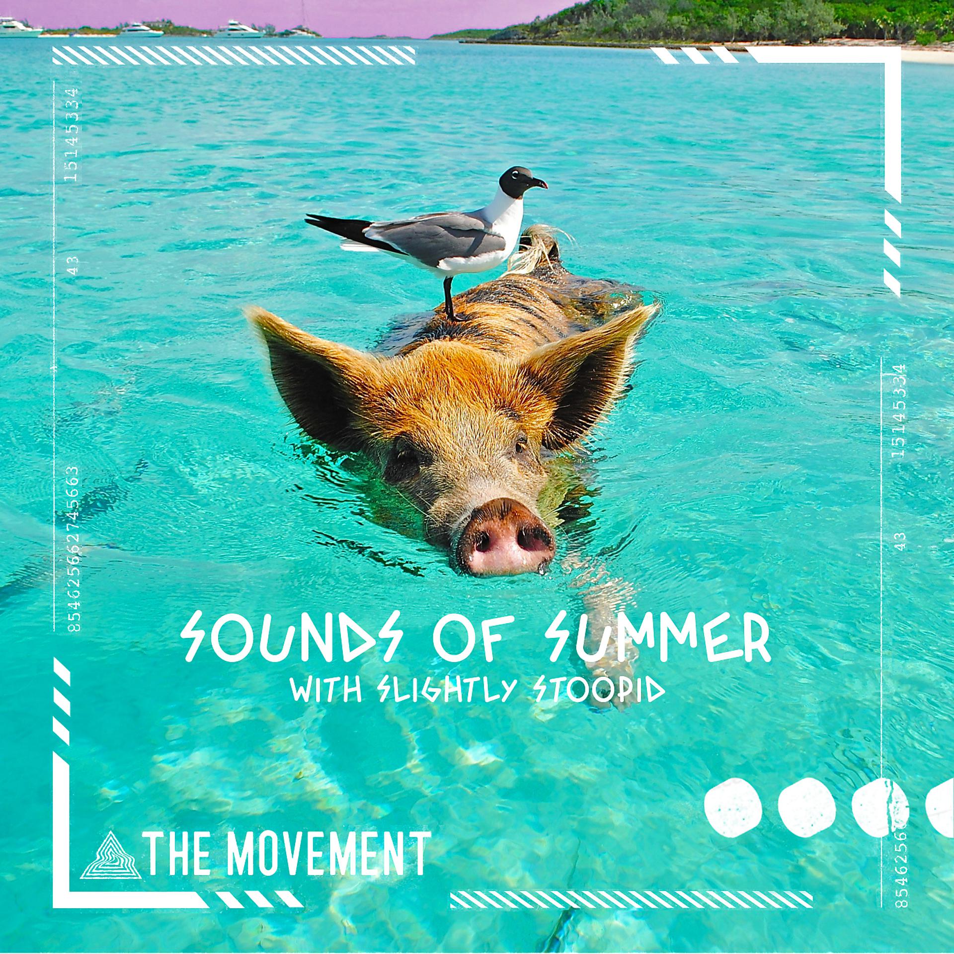 Постер альбома Sounds Of Summer