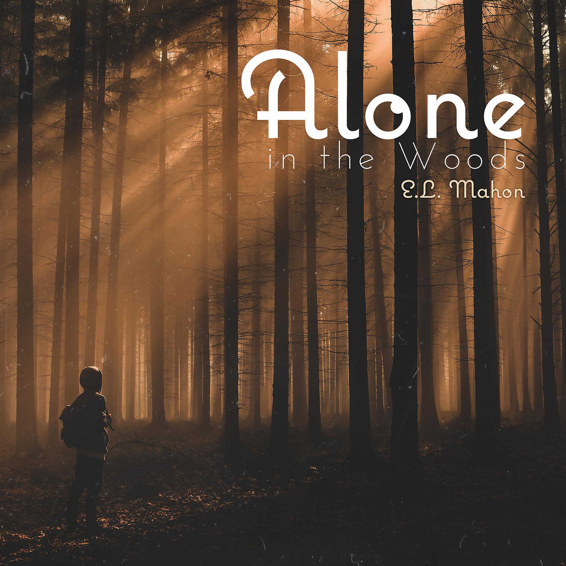 Постер альбома Alone in the Woods