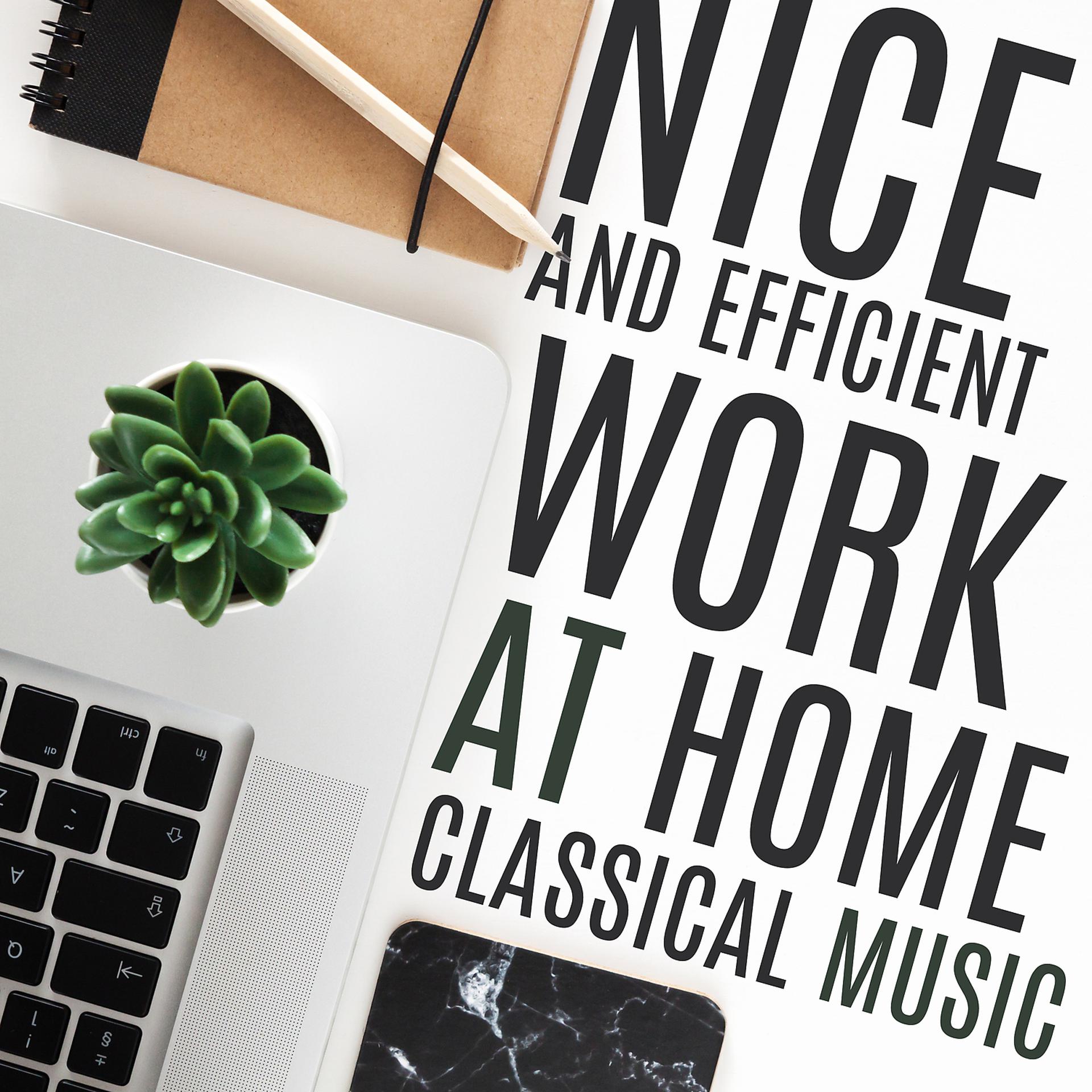 Постер альбома Nice and Efficient Work at Home – Classical Music