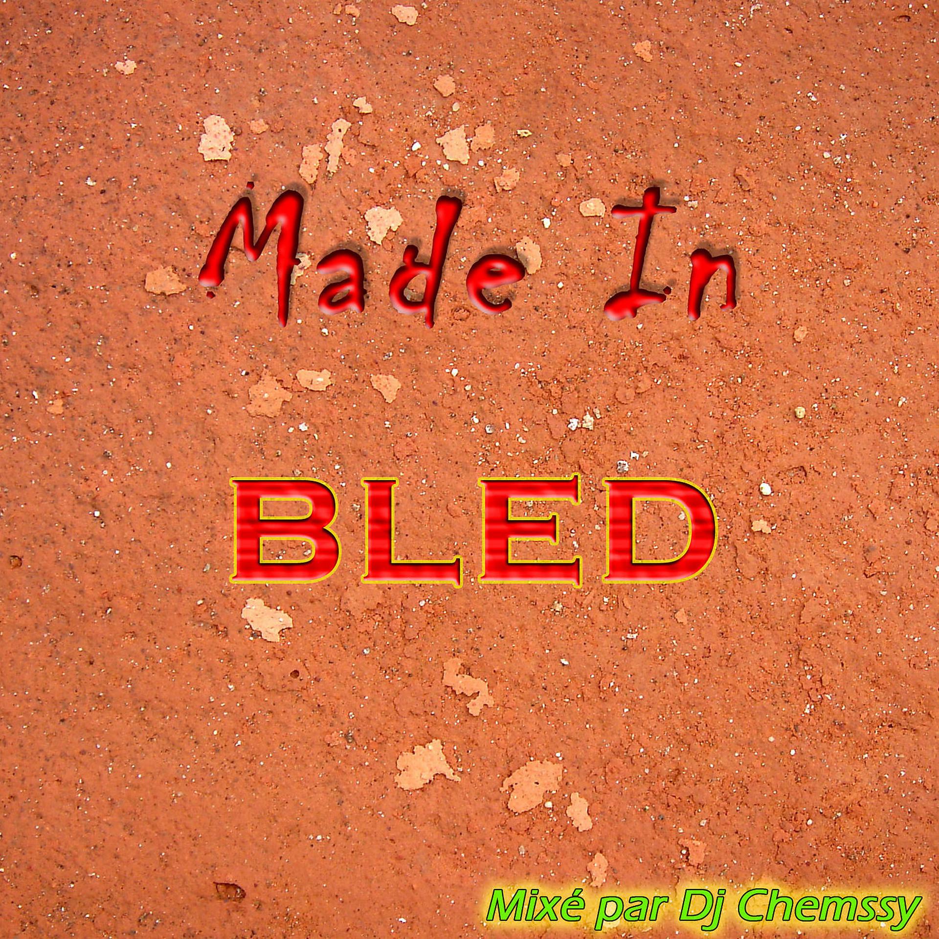 Постер альбома Raï Made in bled