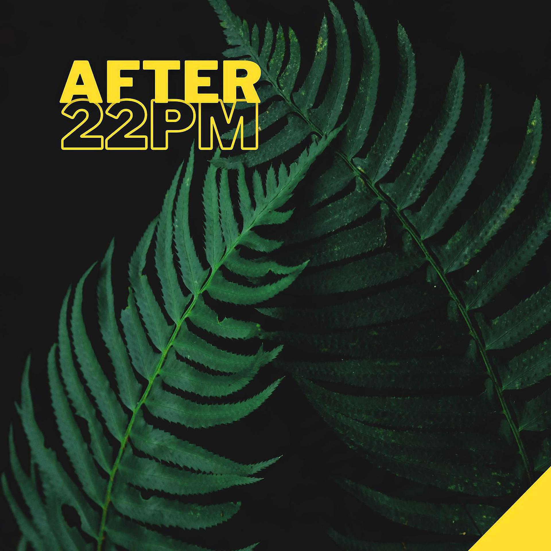 Постер альбома After 22pm - The Best 2021 Playlist, Relax on the Beach, Ibiza Party Lounge, Cafe Relaxation, Bali Chill Out, Music del Mar