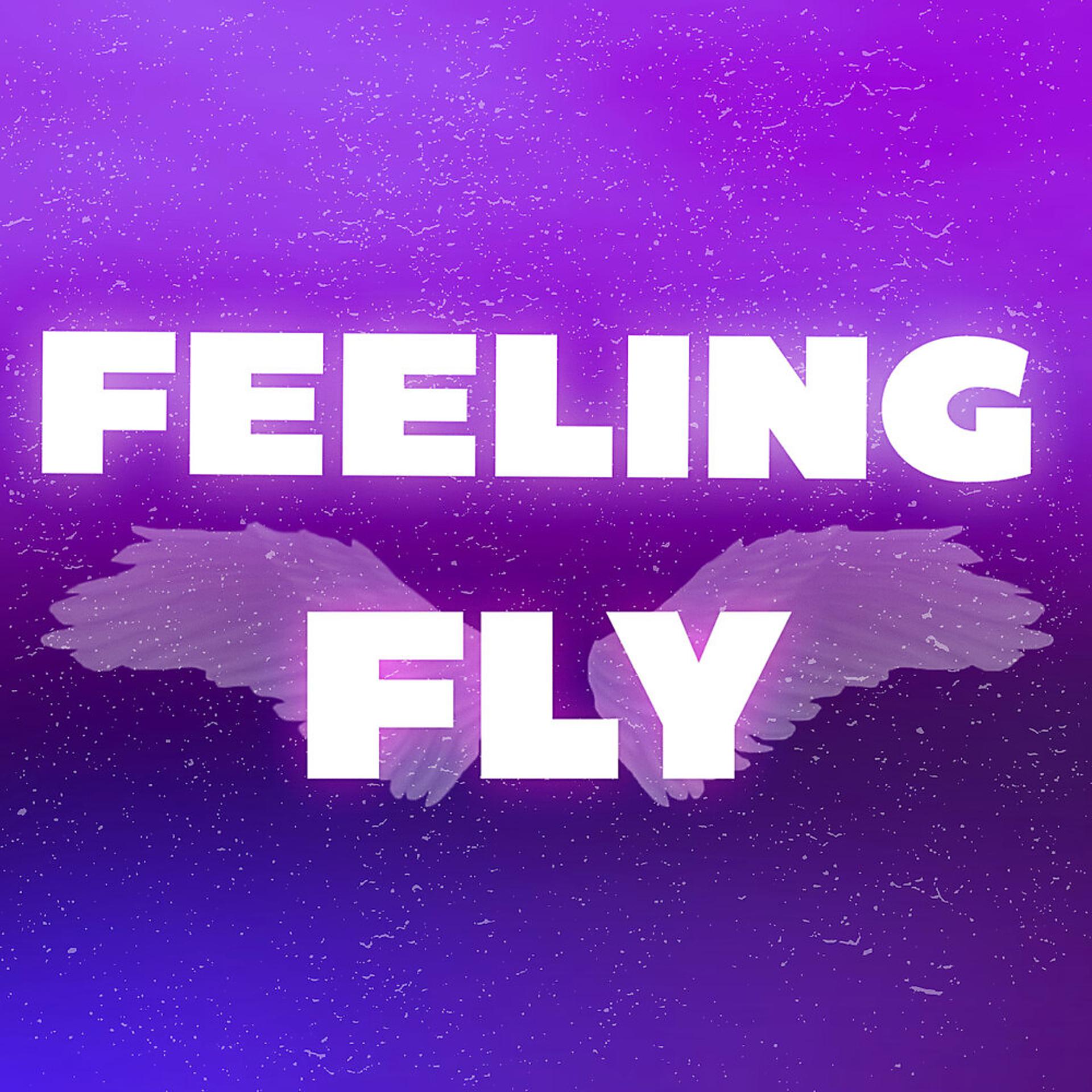 Постер альбома Feeling Fly