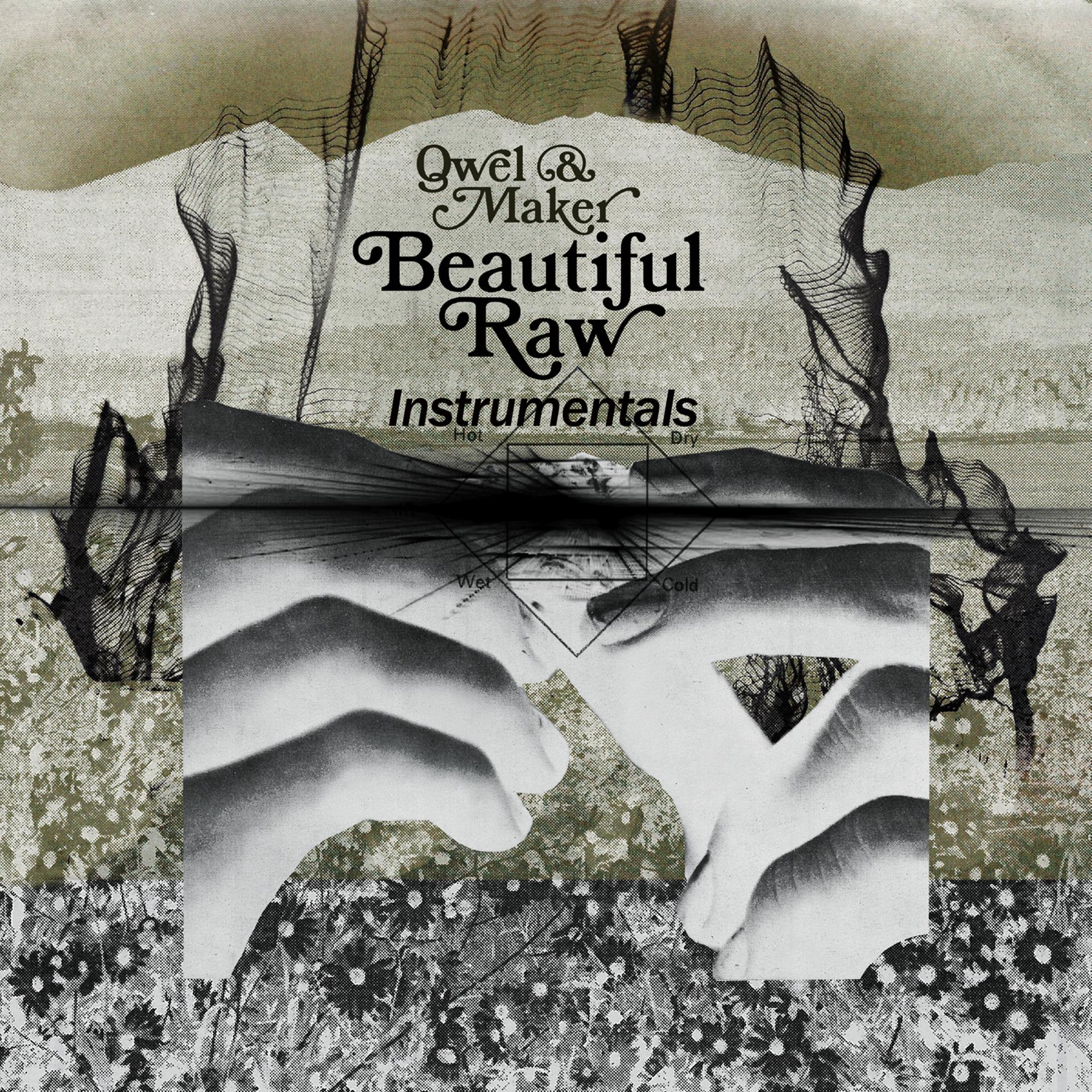 Постер альбома Beautiful Raw Instrumentals