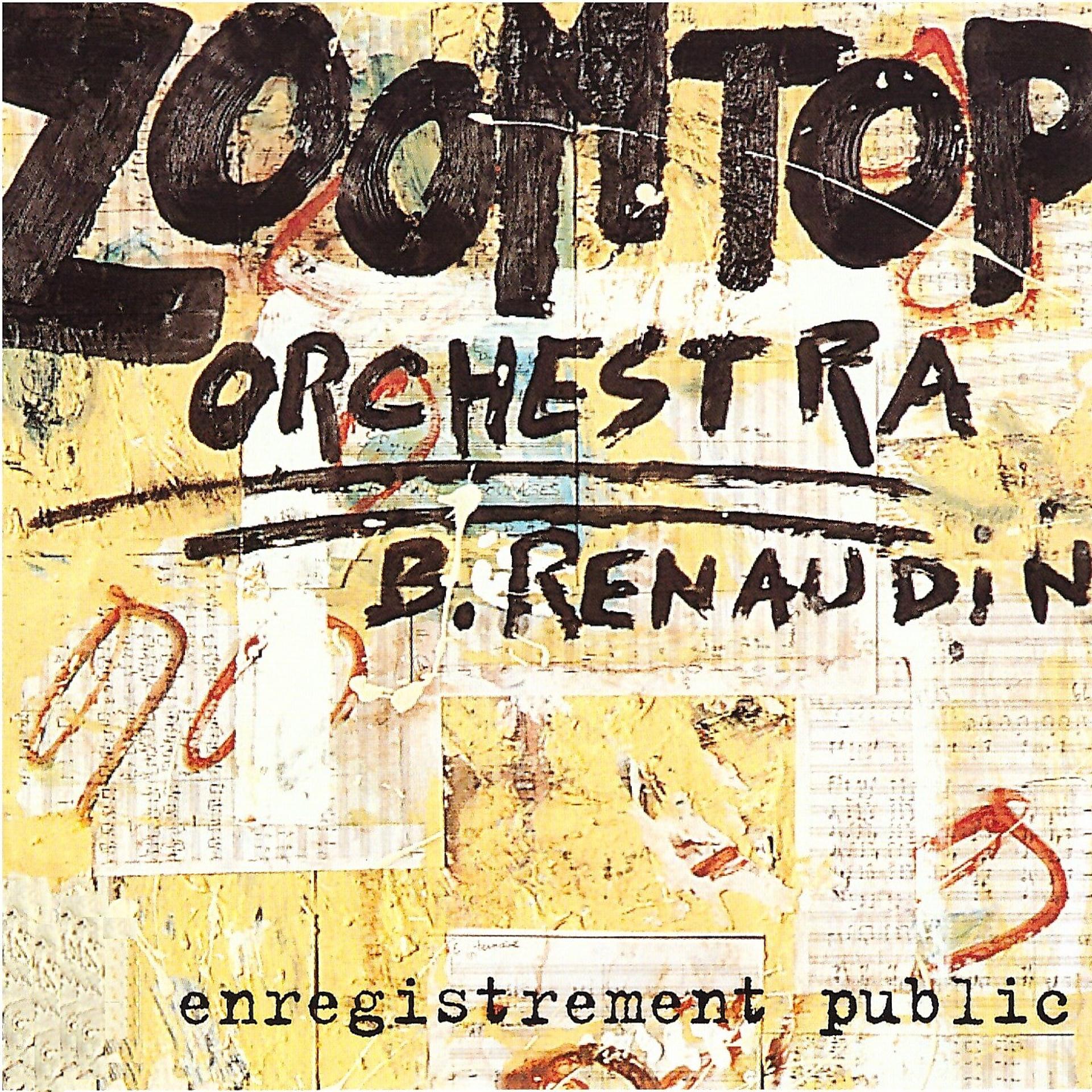Постер альбома Zoomtop Orchestra
