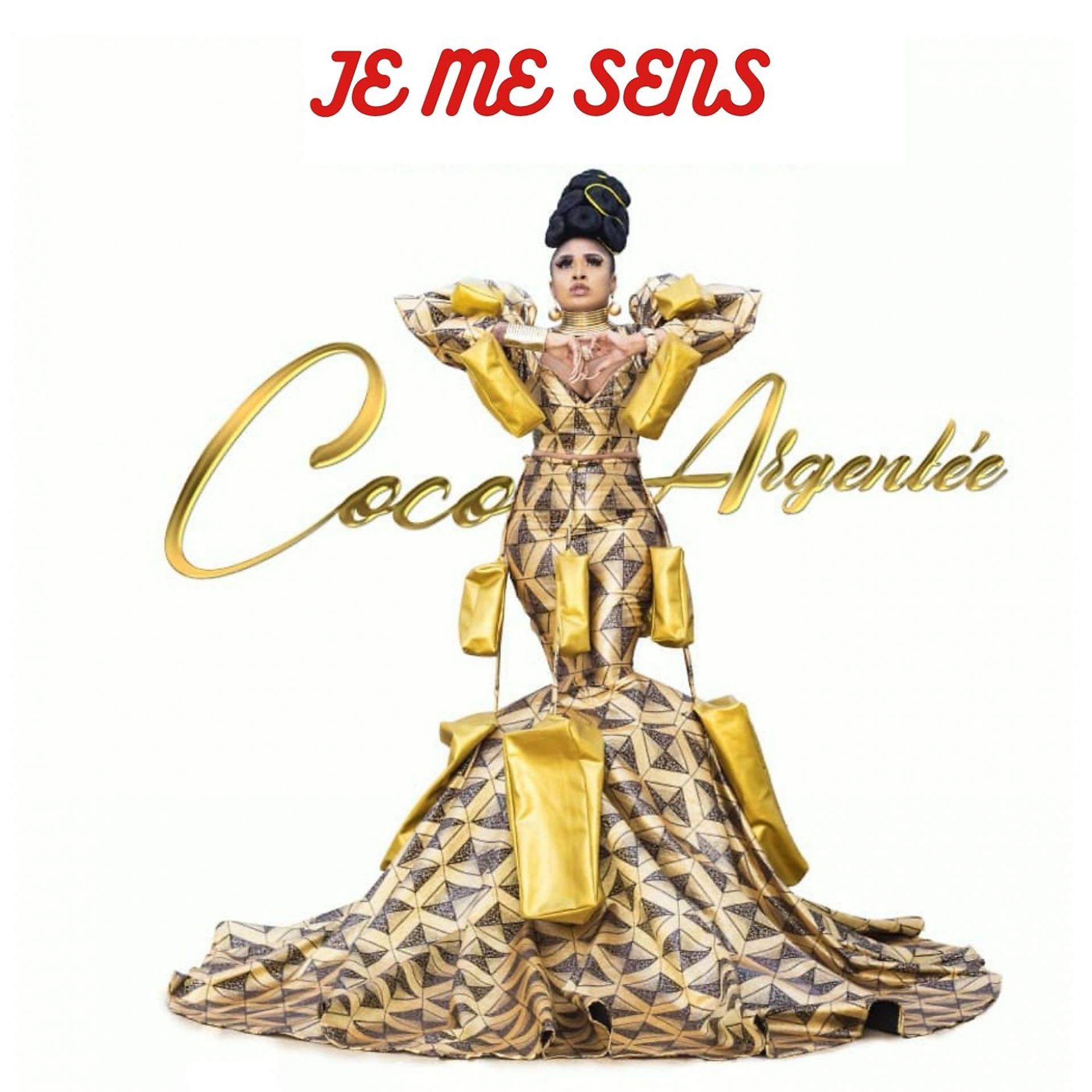 Постер альбома Je Me Sens