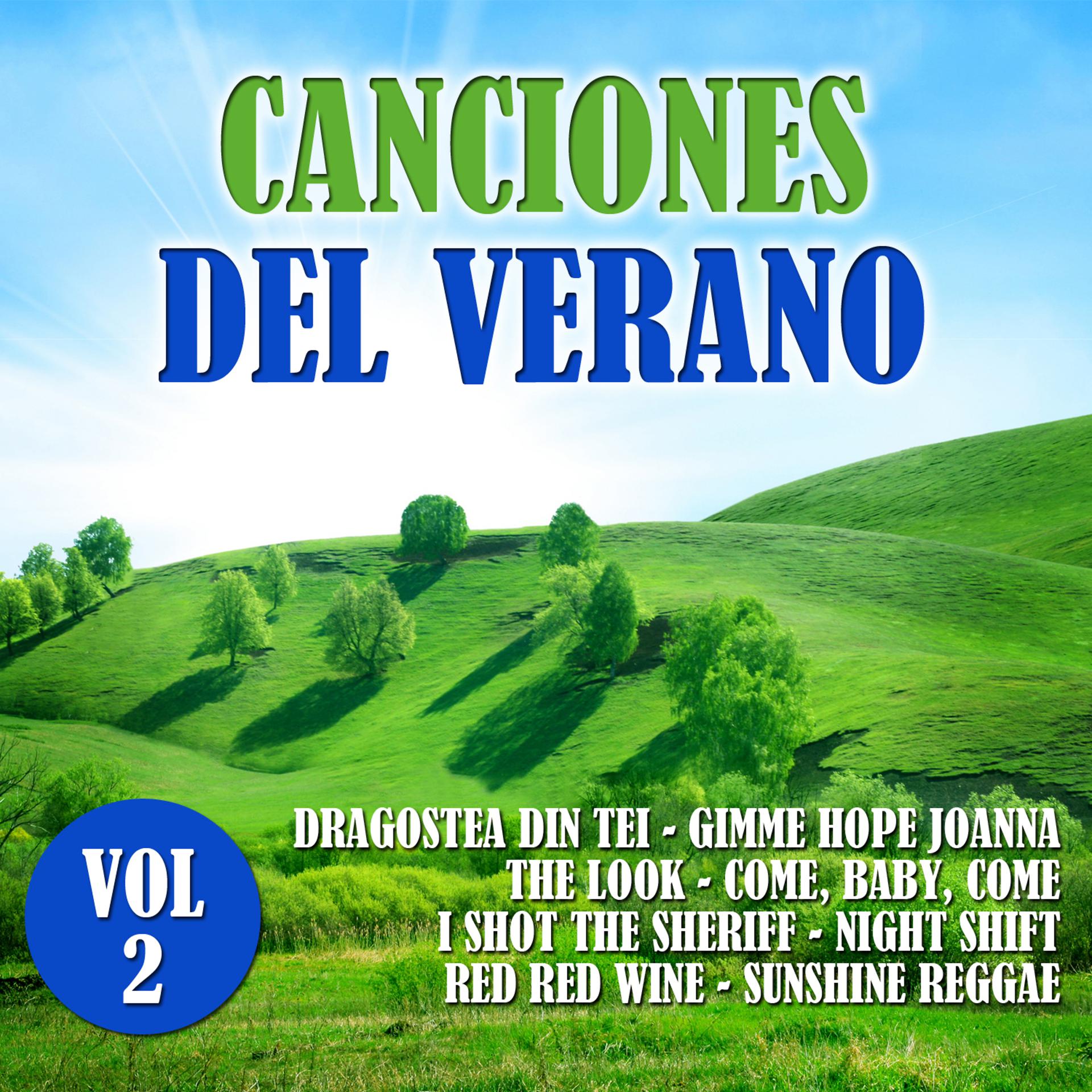 Постер альбома Canciones de Verano Vol. 2