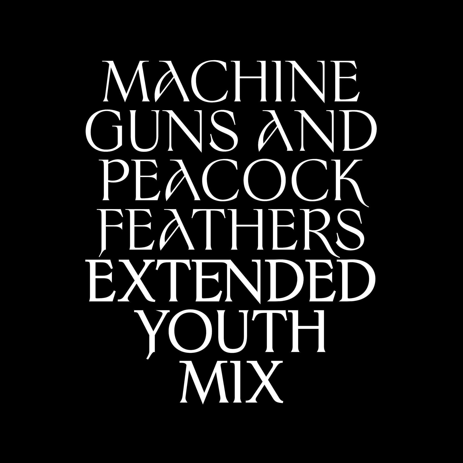 Постер альбома Machine Guns and Peacock Feathers (Extended Youth Mix)