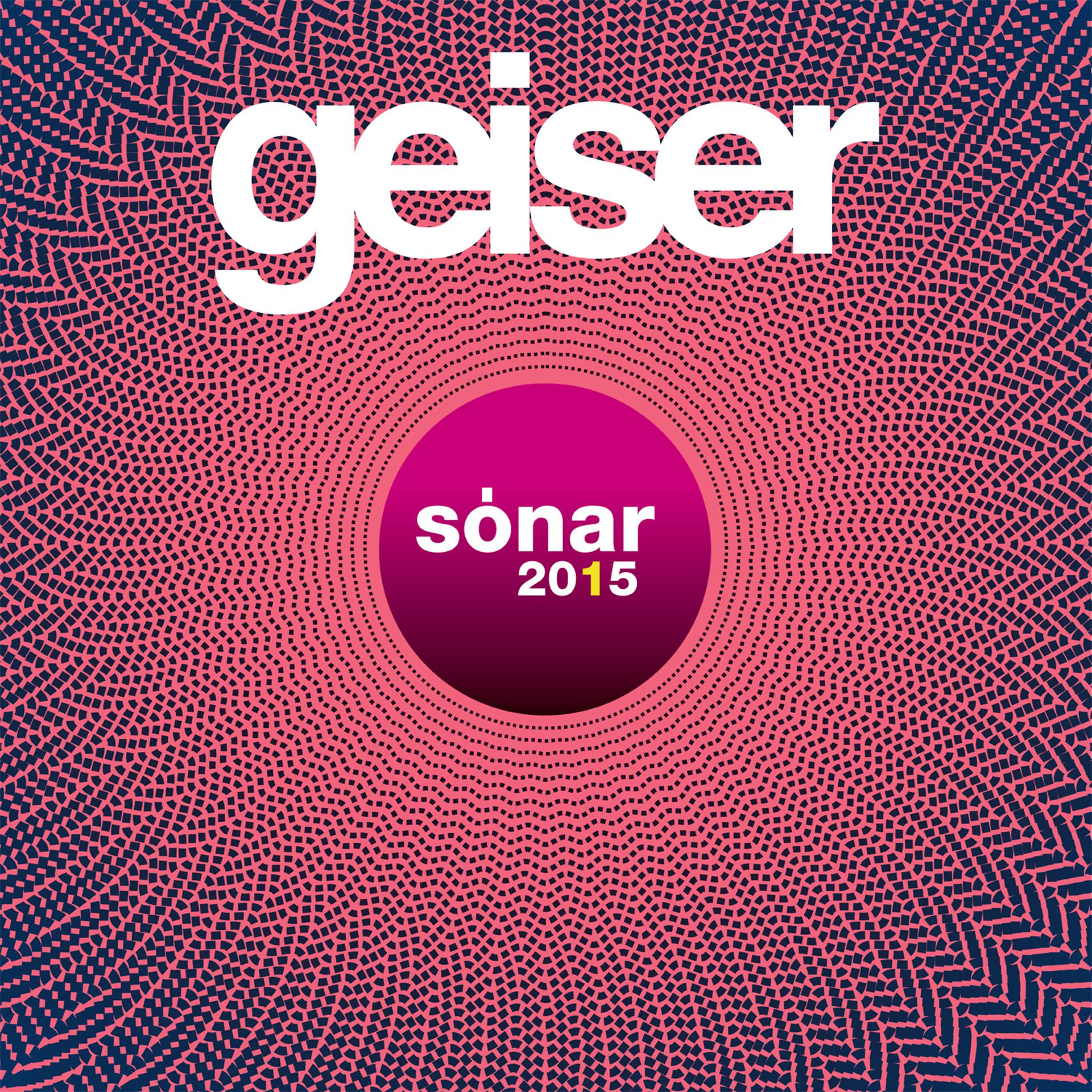 Постер альбома Geiser Sonar 2015