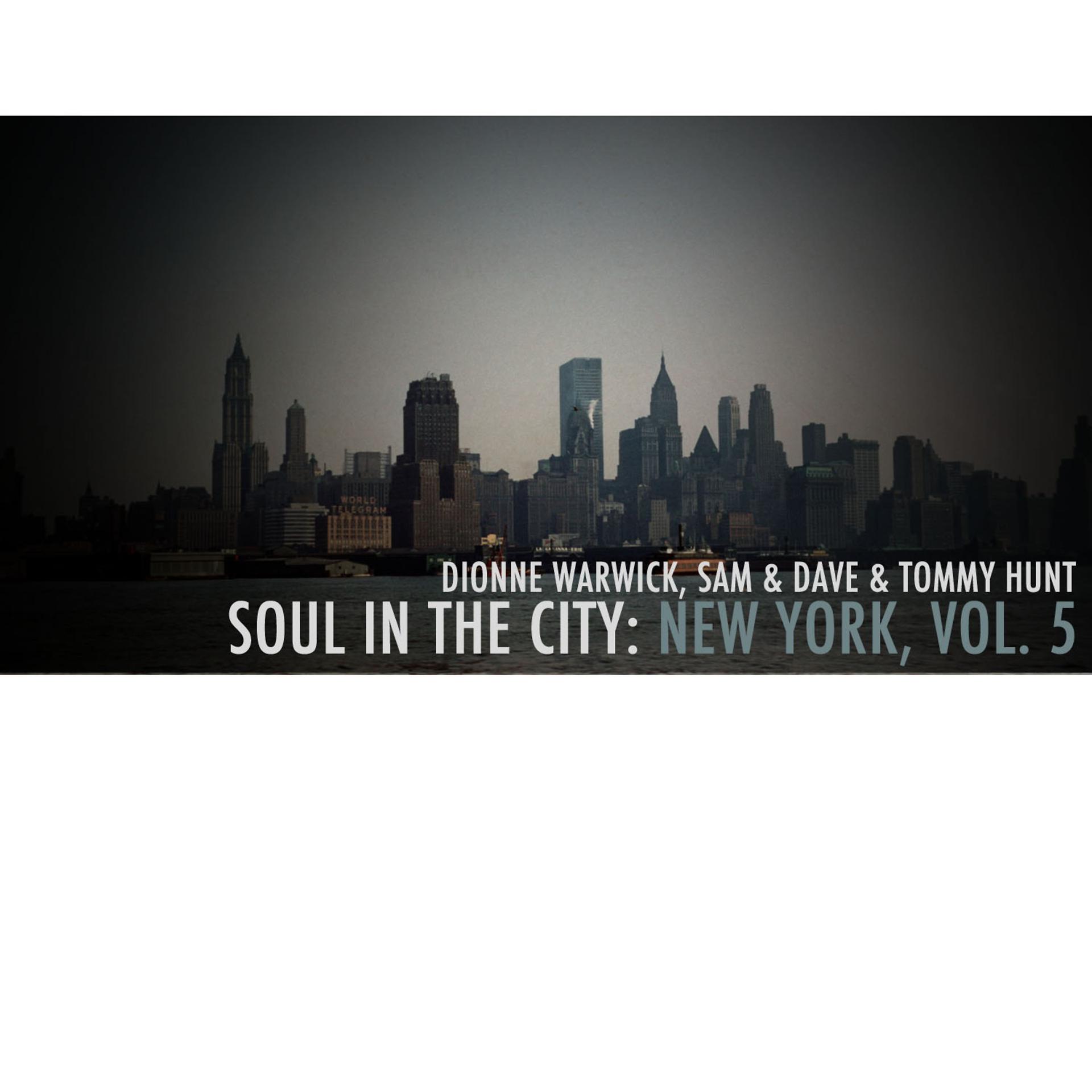 Постер альбома Soul in the City: New York, Vol. 5