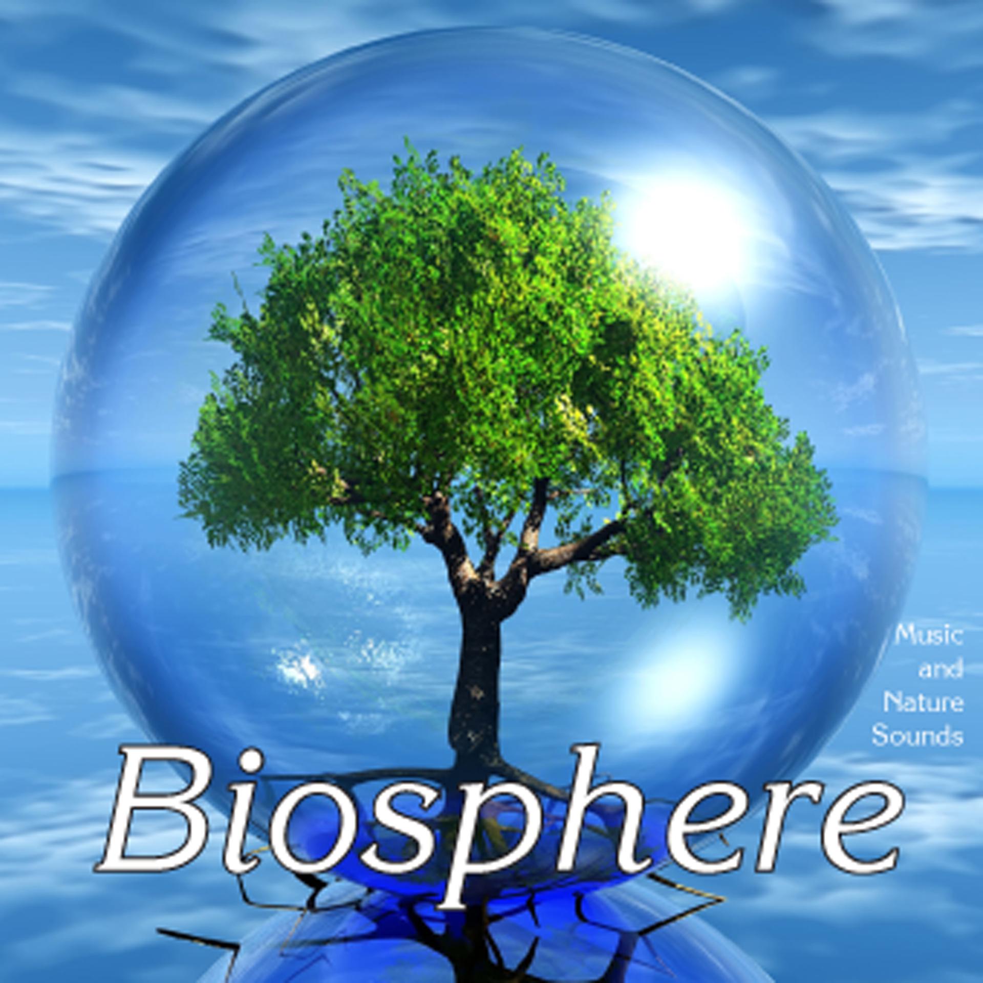 Постер альбома Biosphere: Nature Sounds & Music