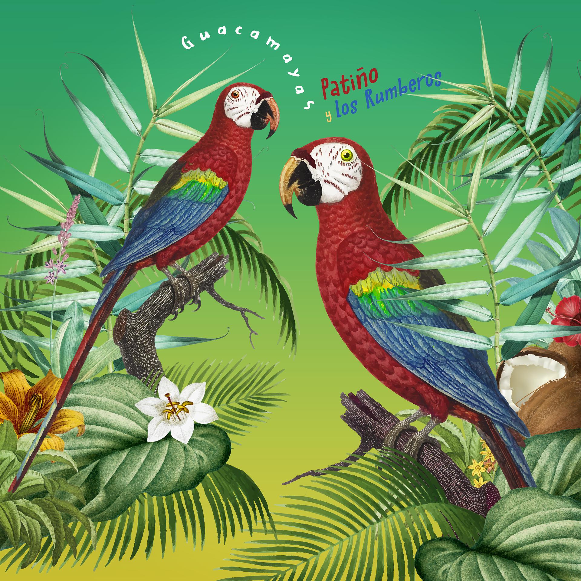 Постер альбома Guacamayas
