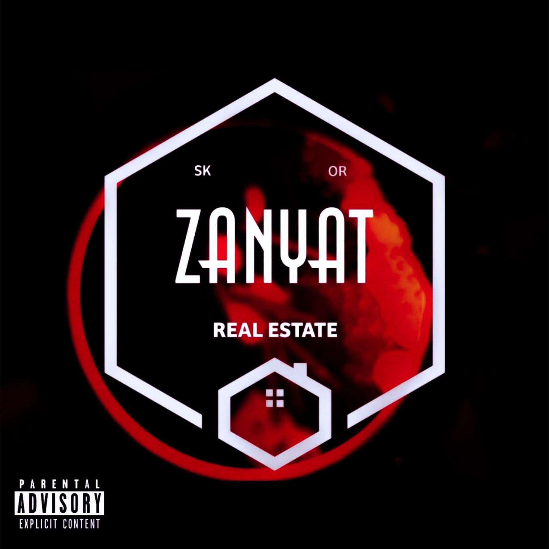 Постер альбома ZANYAT (prod. by BUGSTER)