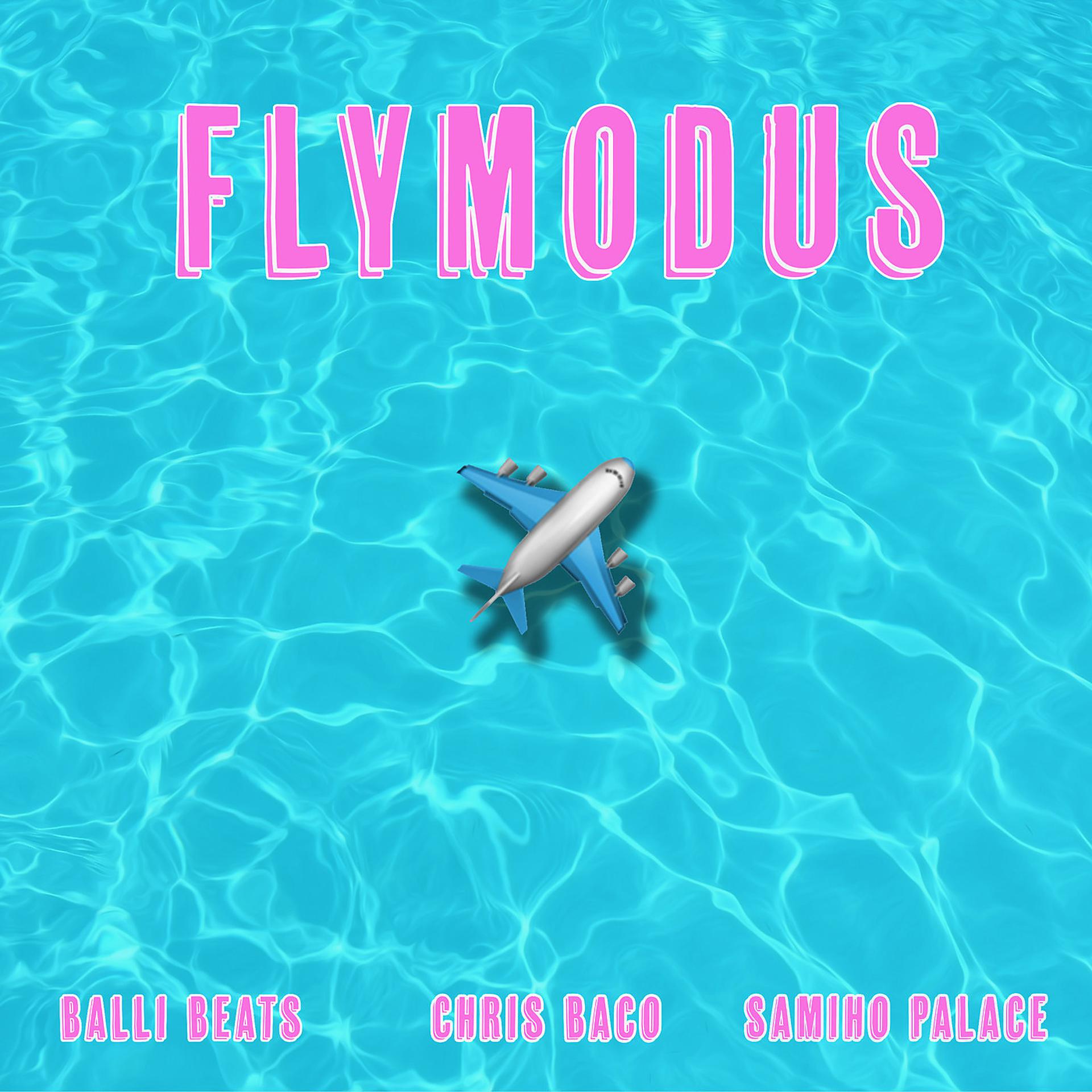 Постер альбома Flymodus