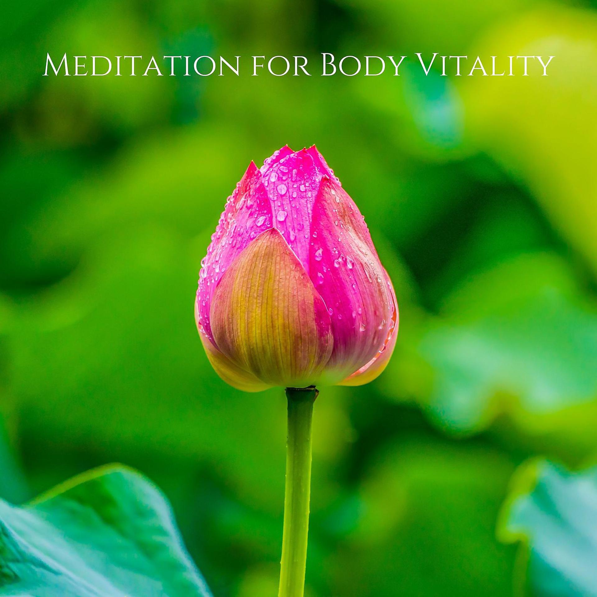 Постер альбома Meditation for Body Vitality: Recovery, Powerful Healing Music