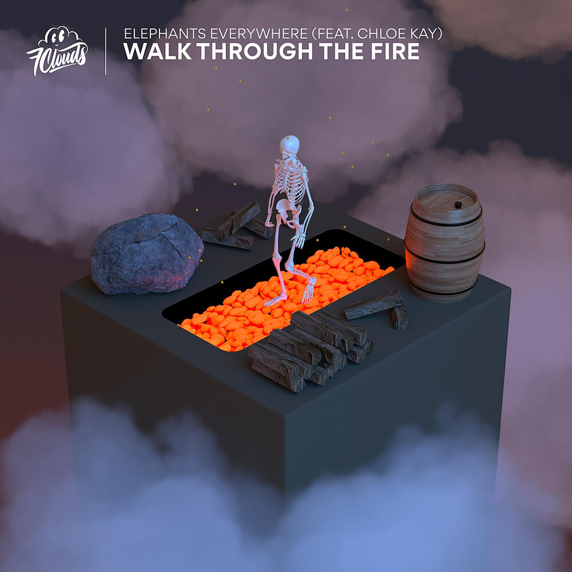 Постер альбома Walk Through The Fire